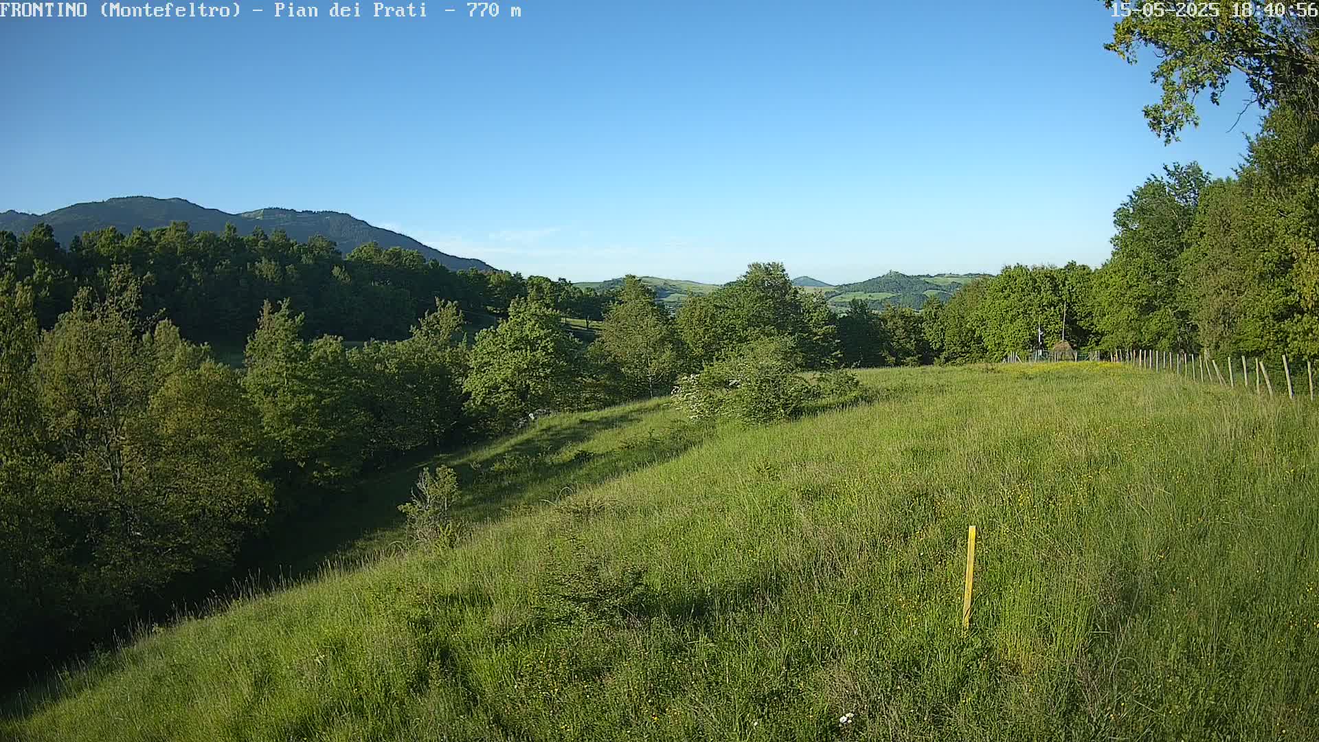 A grassy hillside slopes downward toward a line of trees under a clear blue sky.