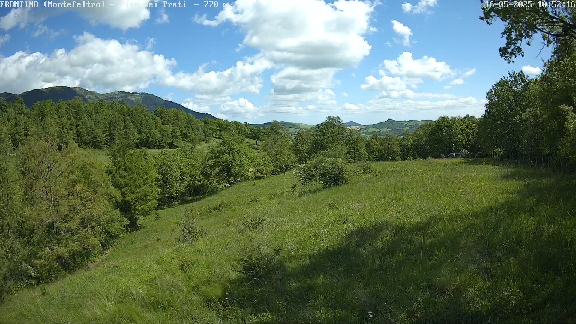 A grassy hillside slopes down to a lush green forest under a partly cloudy blue sky.