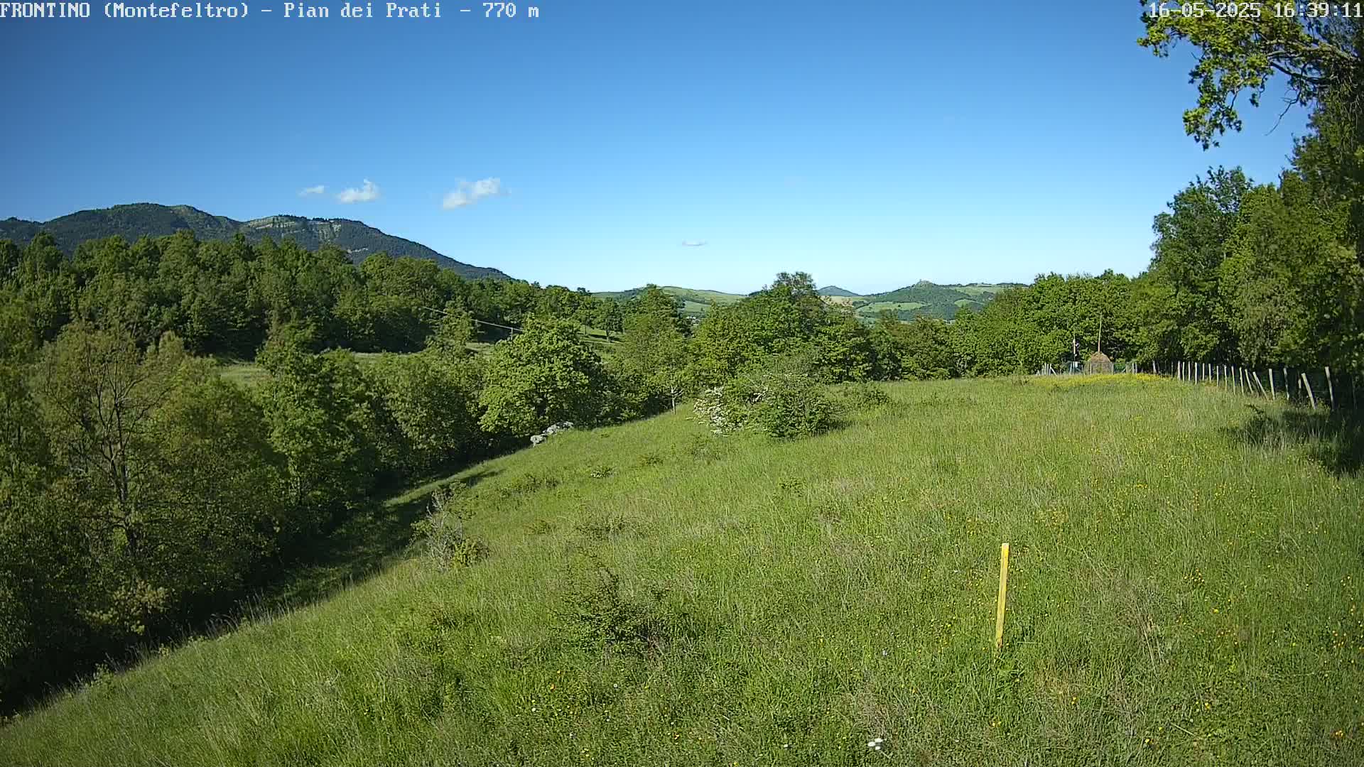 A grassy hillside slopes downward toward a line of trees under a clear blue sky.