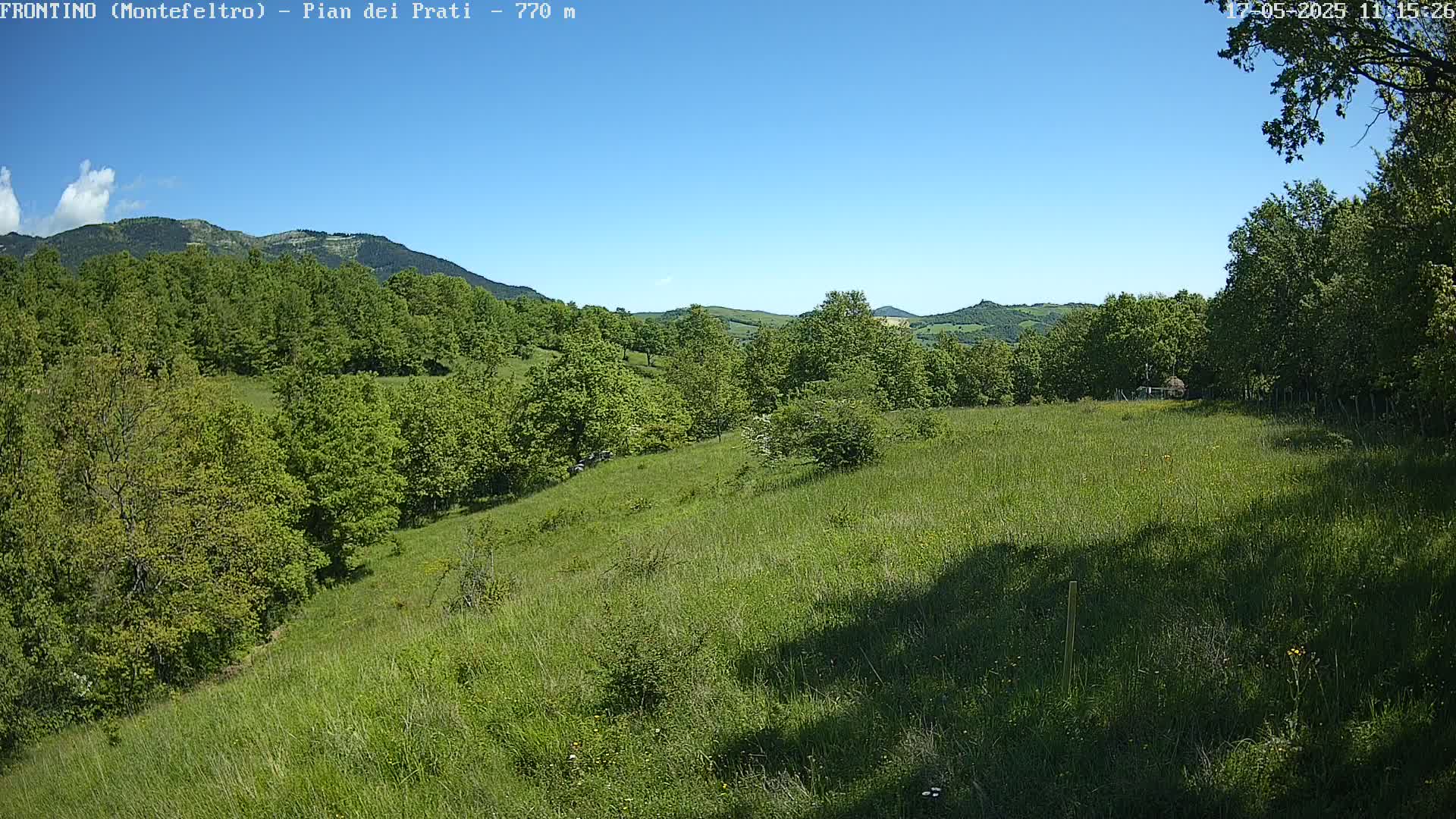 A grassy hillside dotted with trees and shrubs stretches towards a mountain range under a clear blue sky.