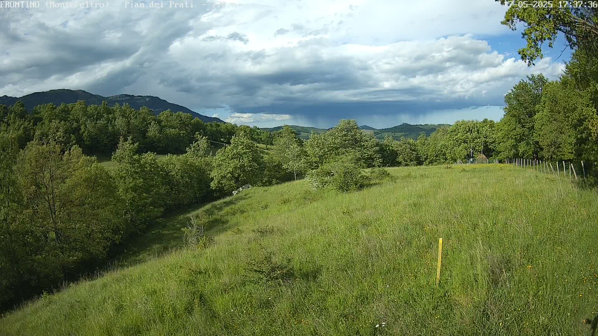 A grassy hillside dotted with trees and shrubs under a partly cloudy sky, with rain visible in the distance.