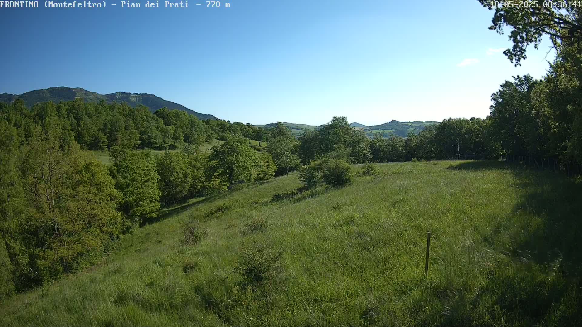 A grassy hillside slopes gently down towards a line of trees, with more trees and distant hills visible under a clear blue sky.