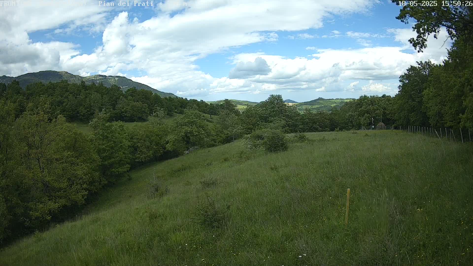 A grassy hillside dotted with trees under a partly cloudy sky, overlooking rolling green hills in the distance.