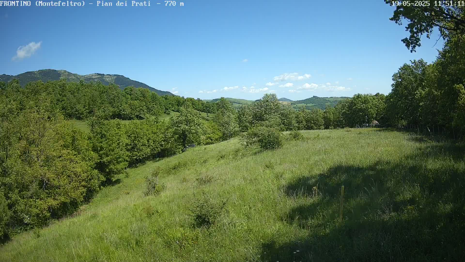 A grassy hillside dotted with trees stretches toward distant mountains under a mostly clear, sunny sky.