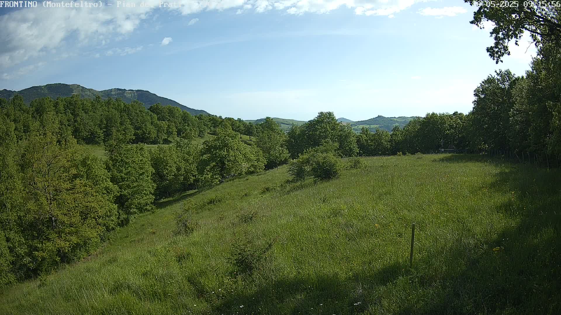 A grassy hillside dotted with green trees stretches towards distant mountains under a partly cloudy sky.