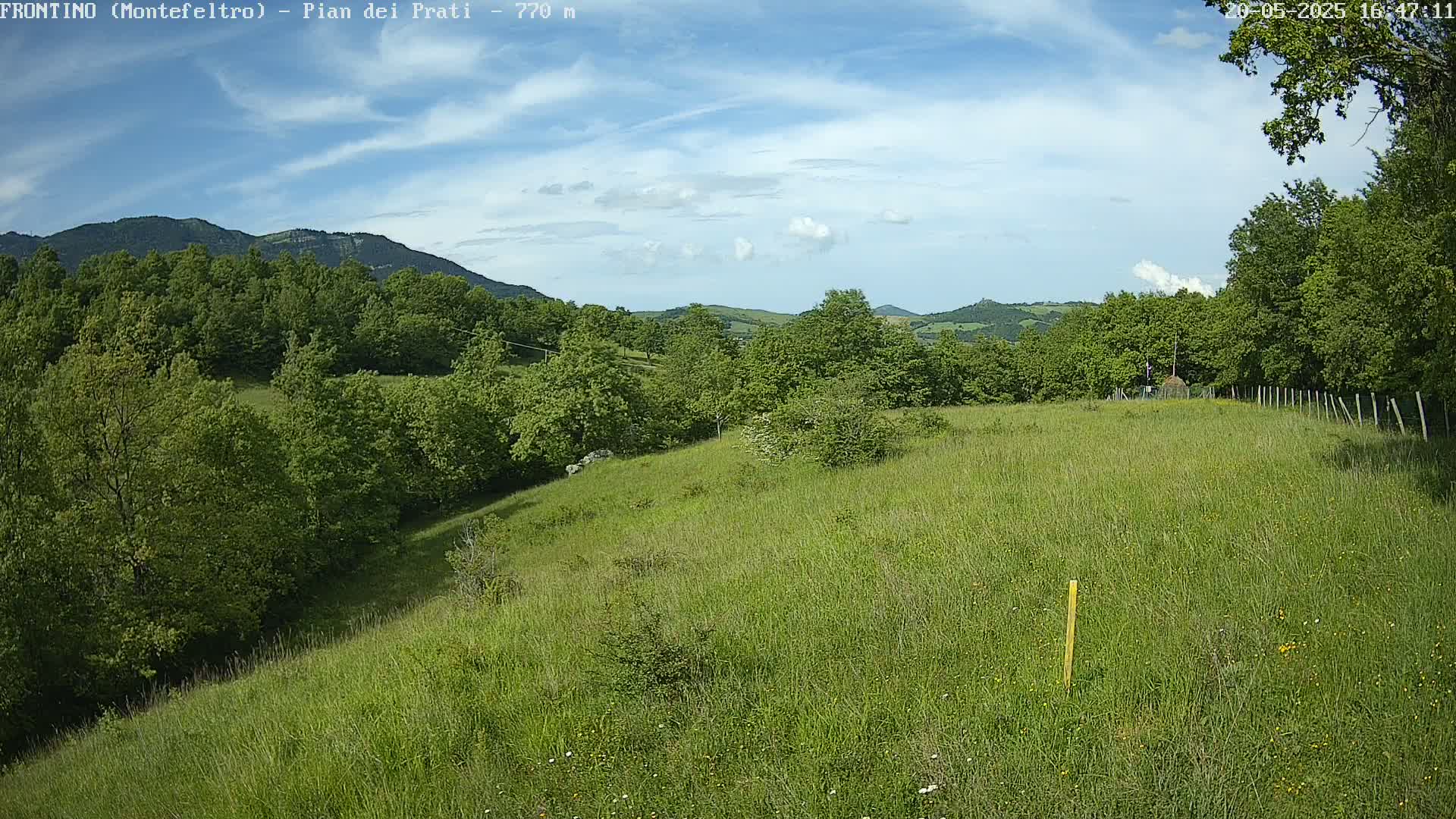 A grassy hillside slopes gently downward toward a line of trees, under a mostly sunny sky with a few scattered clouds.