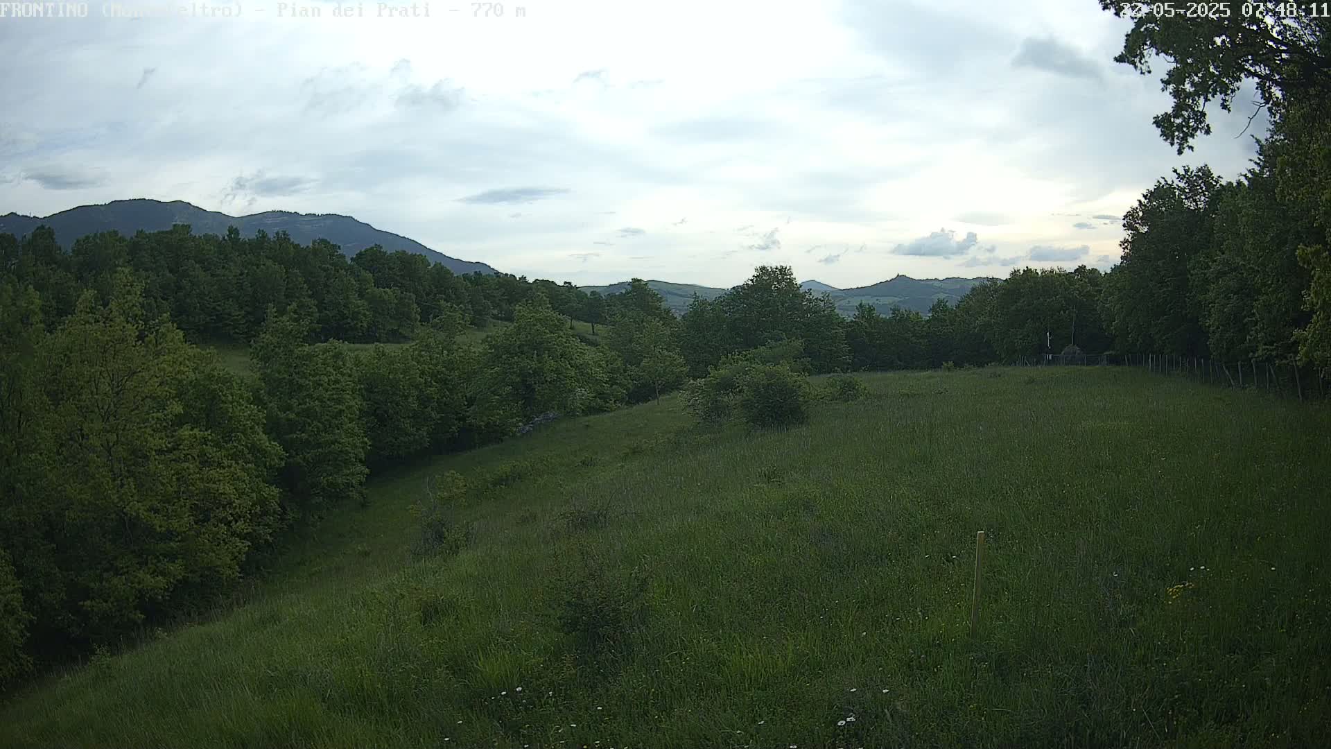 A grassy hillside slopes gently downward toward a line of trees, beyond which lie more trees and distant mountains under a mostly cloudy sky.
