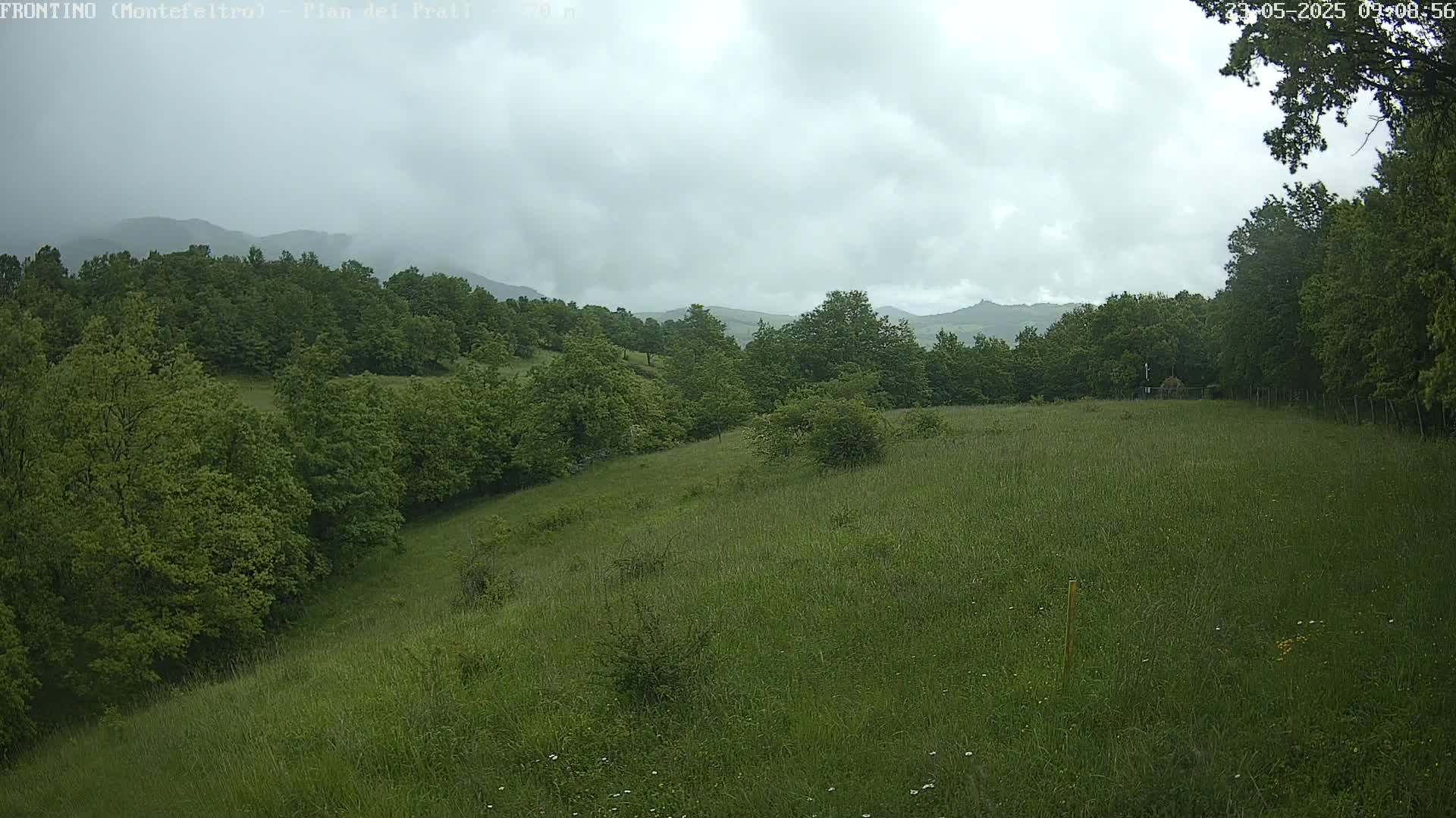 A grassy hillside dotted with trees stretches towards distant mountains under a cloudy sky.