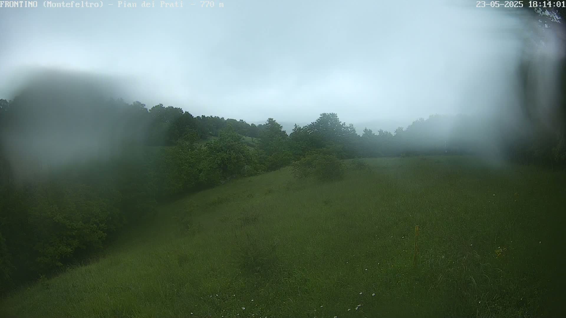 A rain-covered grassy field and wooded hillside are visible through a misty, rainy atmosphere.