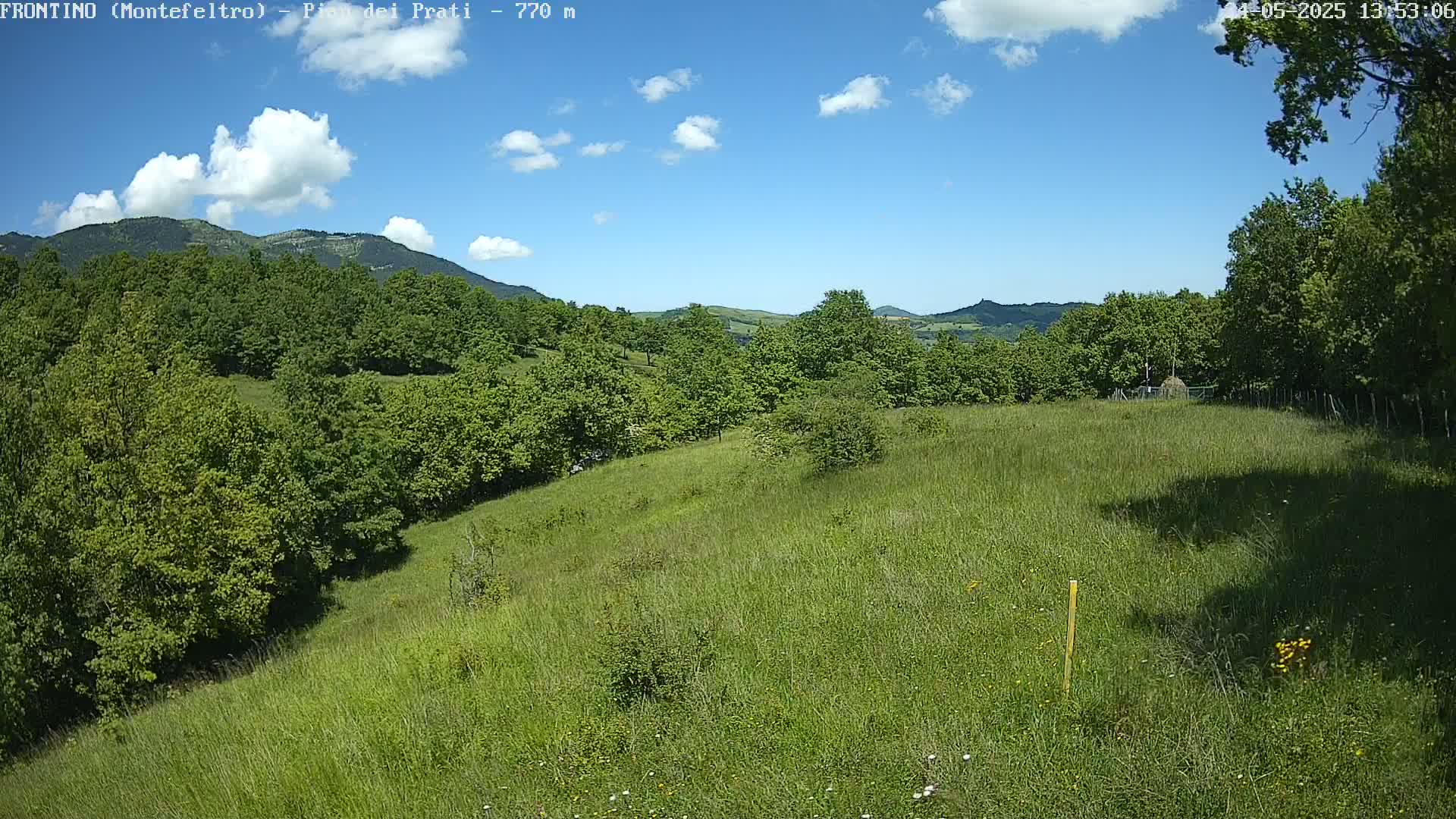 A grassy hillside dotted with trees and shrubs under a mostly sunny sky stretches toward distant, rolling green hills.