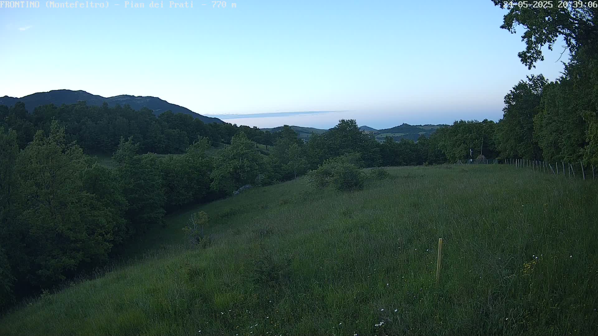 A grassy hillside dotted with trees slopes down to a valley, under a twilight sky.