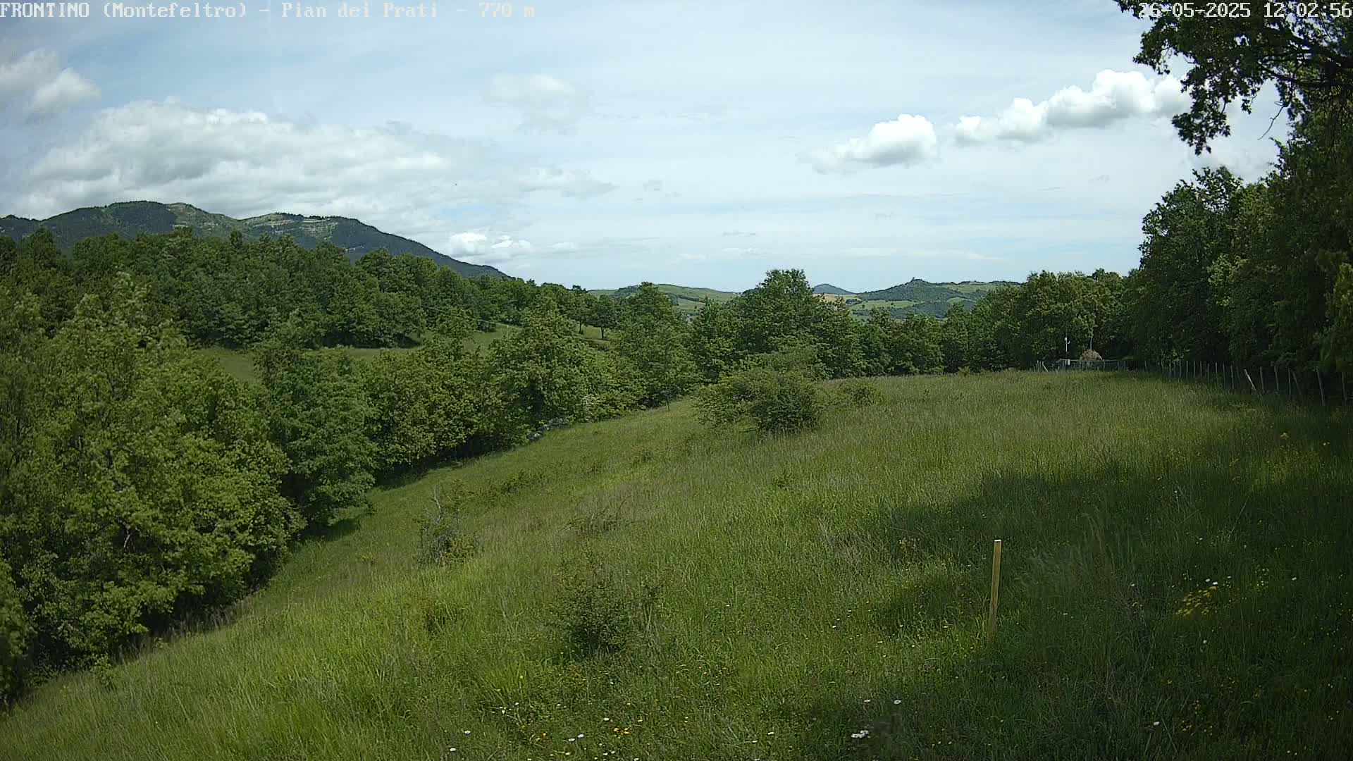 A grassy hillside dotted with trees and wildflowers stretches toward rolling hills under a partly cloudy sky.