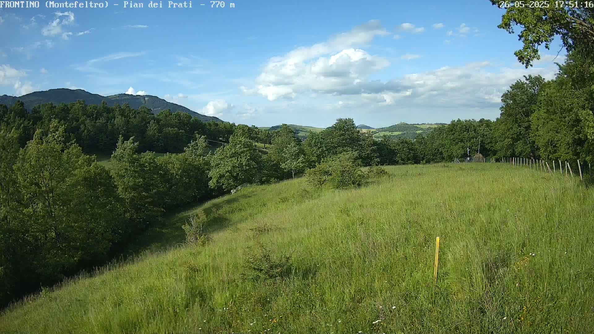 A partly sunny day shows a grassy hillside with green trees and distant rolling hills under a mostly blue sky with fluffy white clouds.