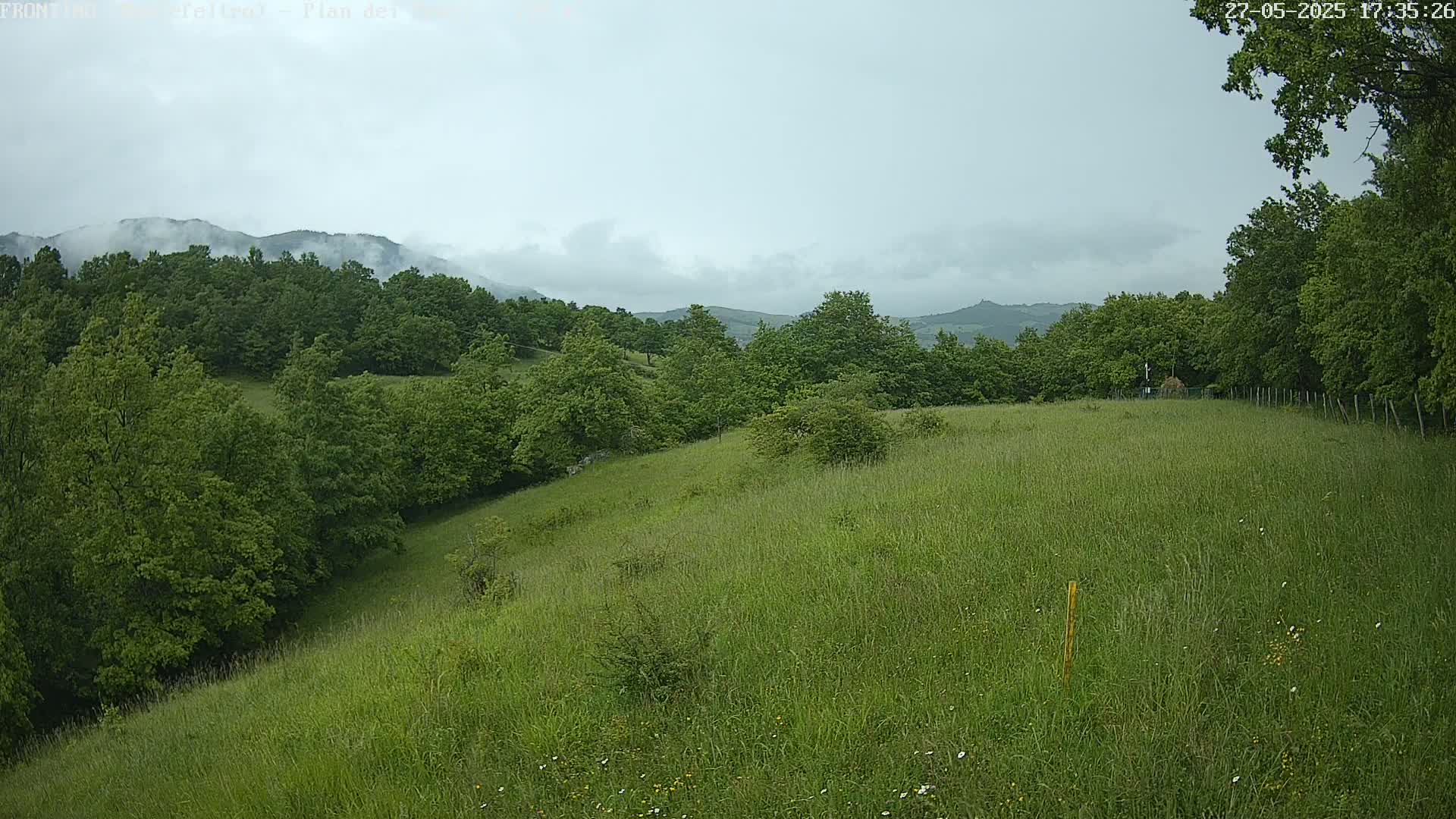 A grassy hillside dotted with trees and wildflowers stretches towards a hazy mountain range under a cloudy sky.