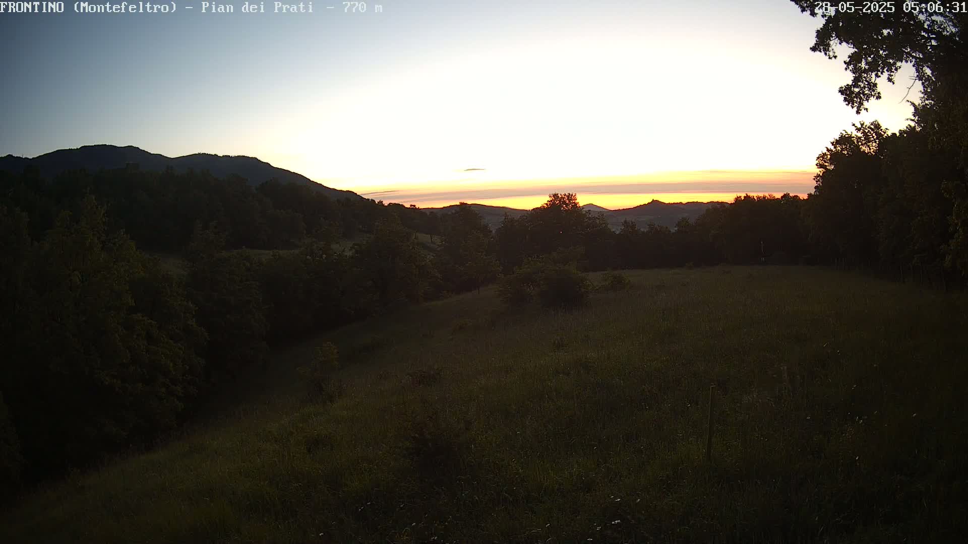 A grassy field at sunrise, overlooking a line of dark trees and distant hills under a clear, pale sky.