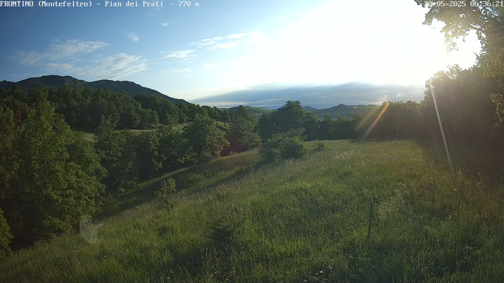 A sunlit grassy field slopes gently downward toward a line of green trees and distant hills under a mostly clear sky.