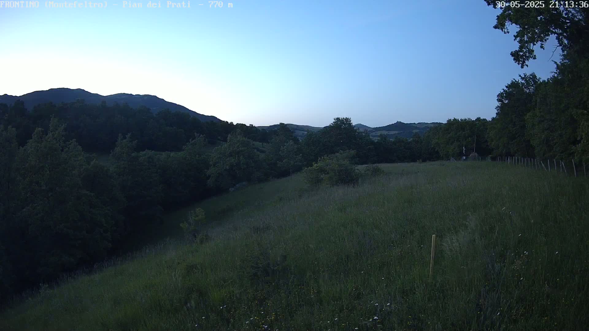 A grassy hillside descends into a wooded valley under a twilight sky.