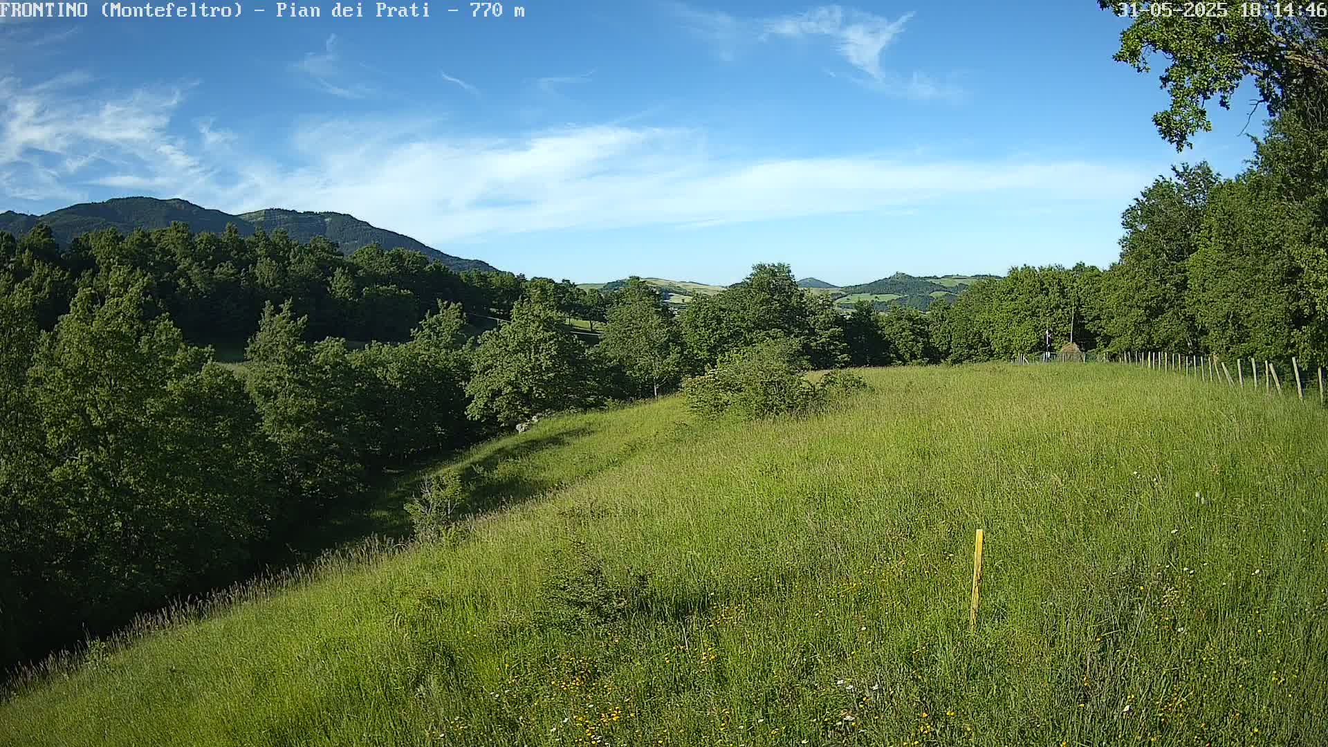 A grassy field slopes gently downward toward a line of trees and distant mountains under a mostly sunny sky.