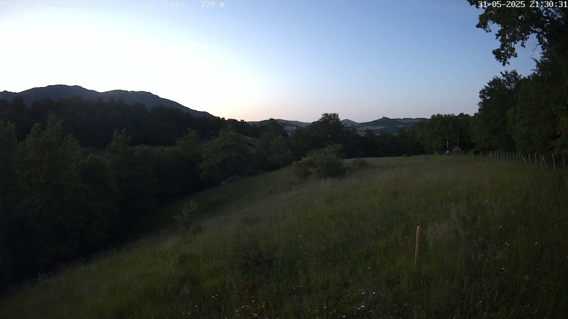 A grassy hillside at dusk overlooks a line of dark trees and distant mountains under a clear, twilight sky.