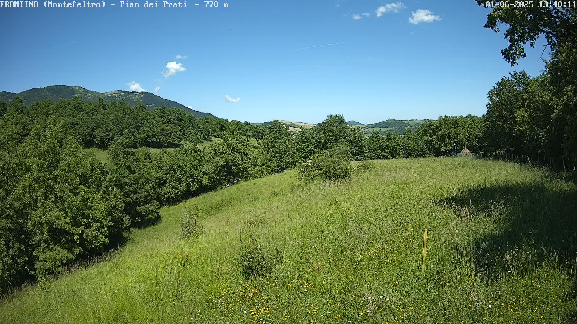 A grassy hillside dotted with wildflowers and trees stretches towards a mountain range under a clear blue sky.