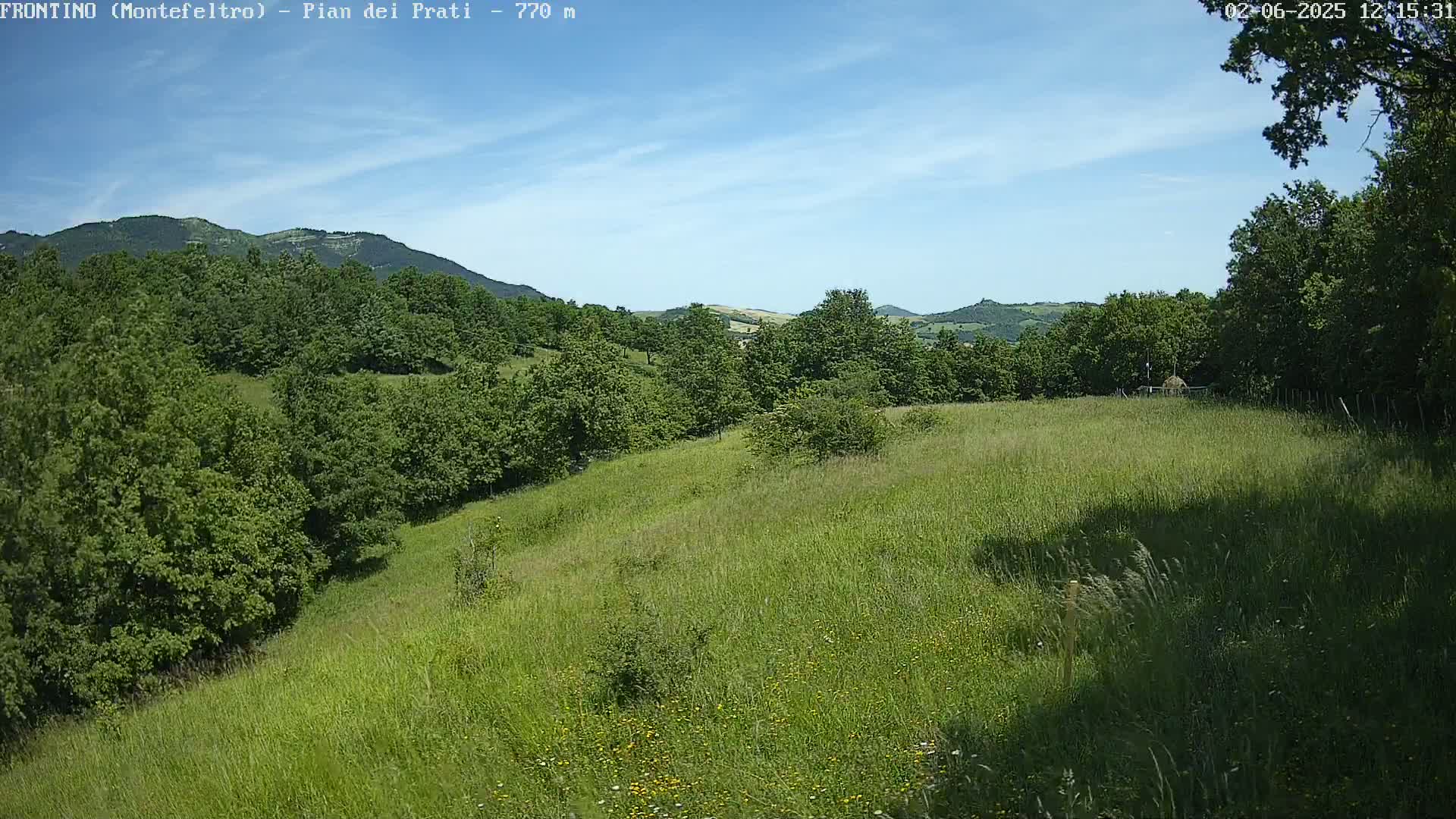 A sunny, mostly clear day reveals a rolling green hillside dotted with trees and wildflowers, extending to distant mountains under a blue sky.