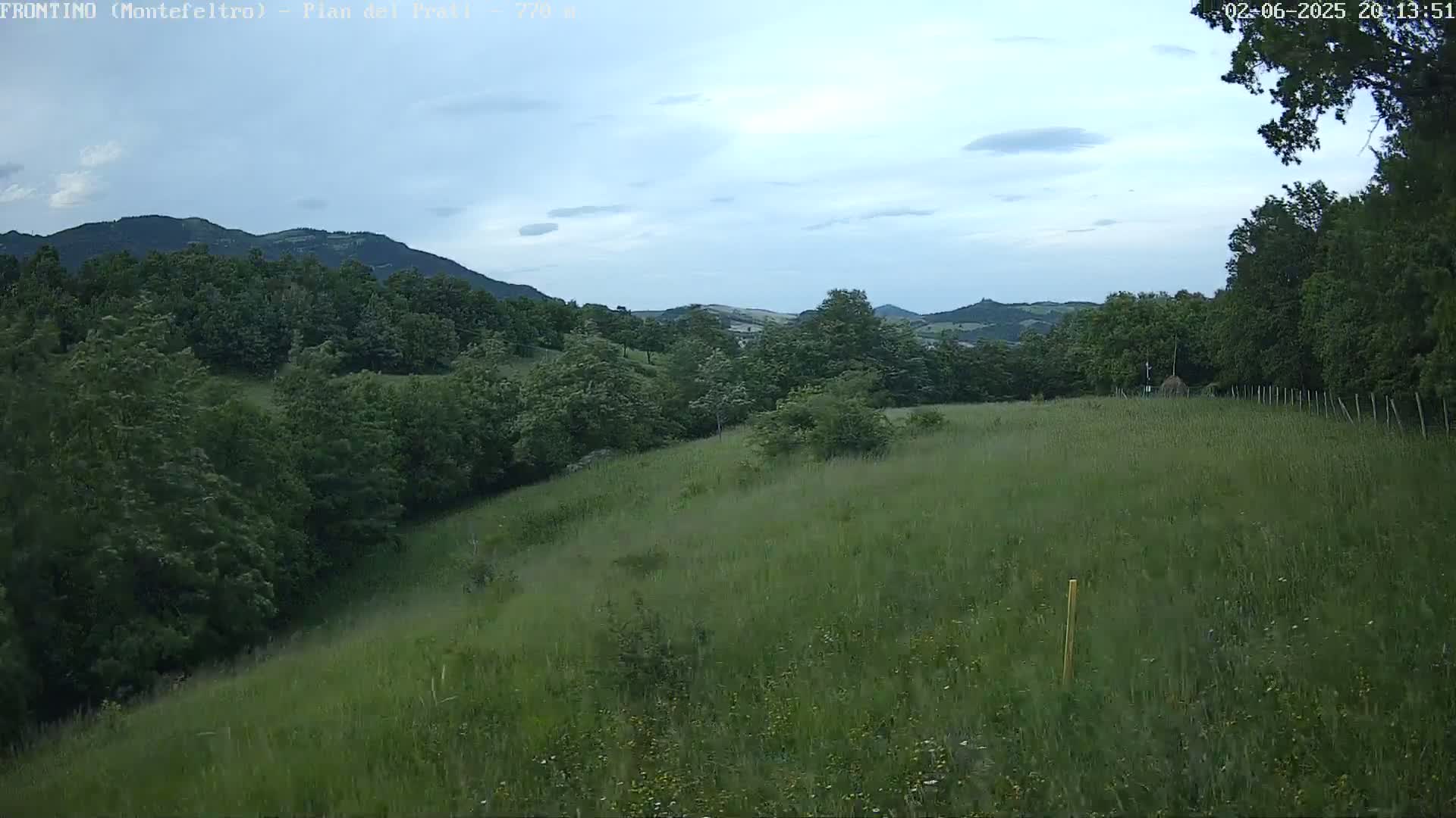 A grassy hillside, dotted with trees and shrubs, stretches towards a range of forested hills under a mostly cloudy sky.