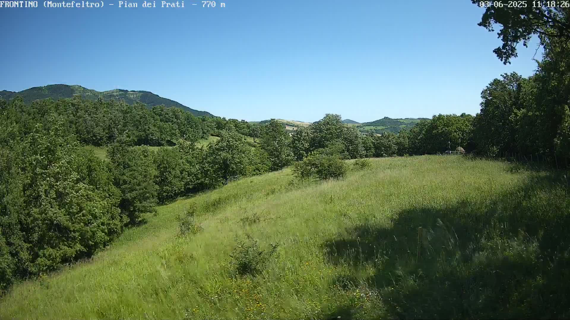 A grassy hillside dotted with trees stretches toward distant mountains under a clear blue sky.