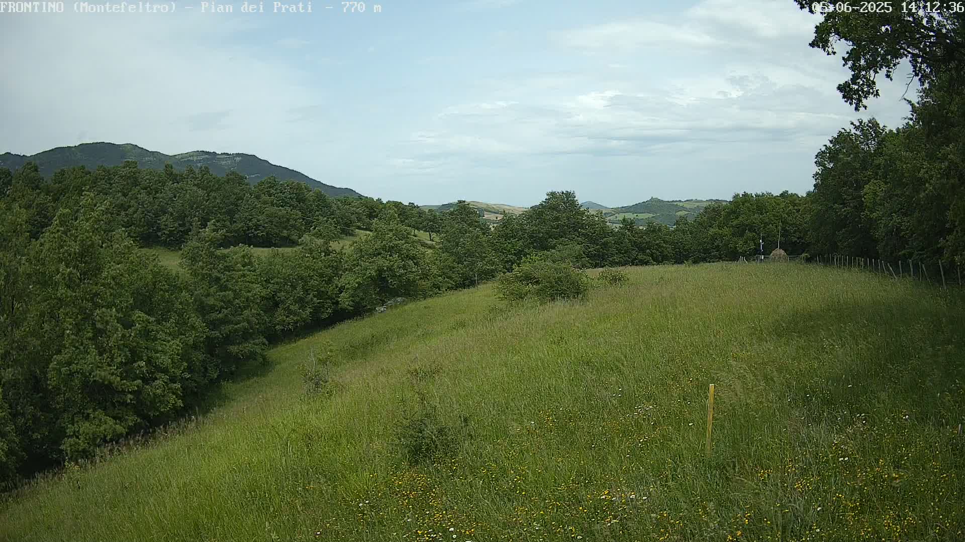 A gently sloping grassy field dotted with wildflowers extends towards a line of trees and rolling hills under a partly cloudy sky.