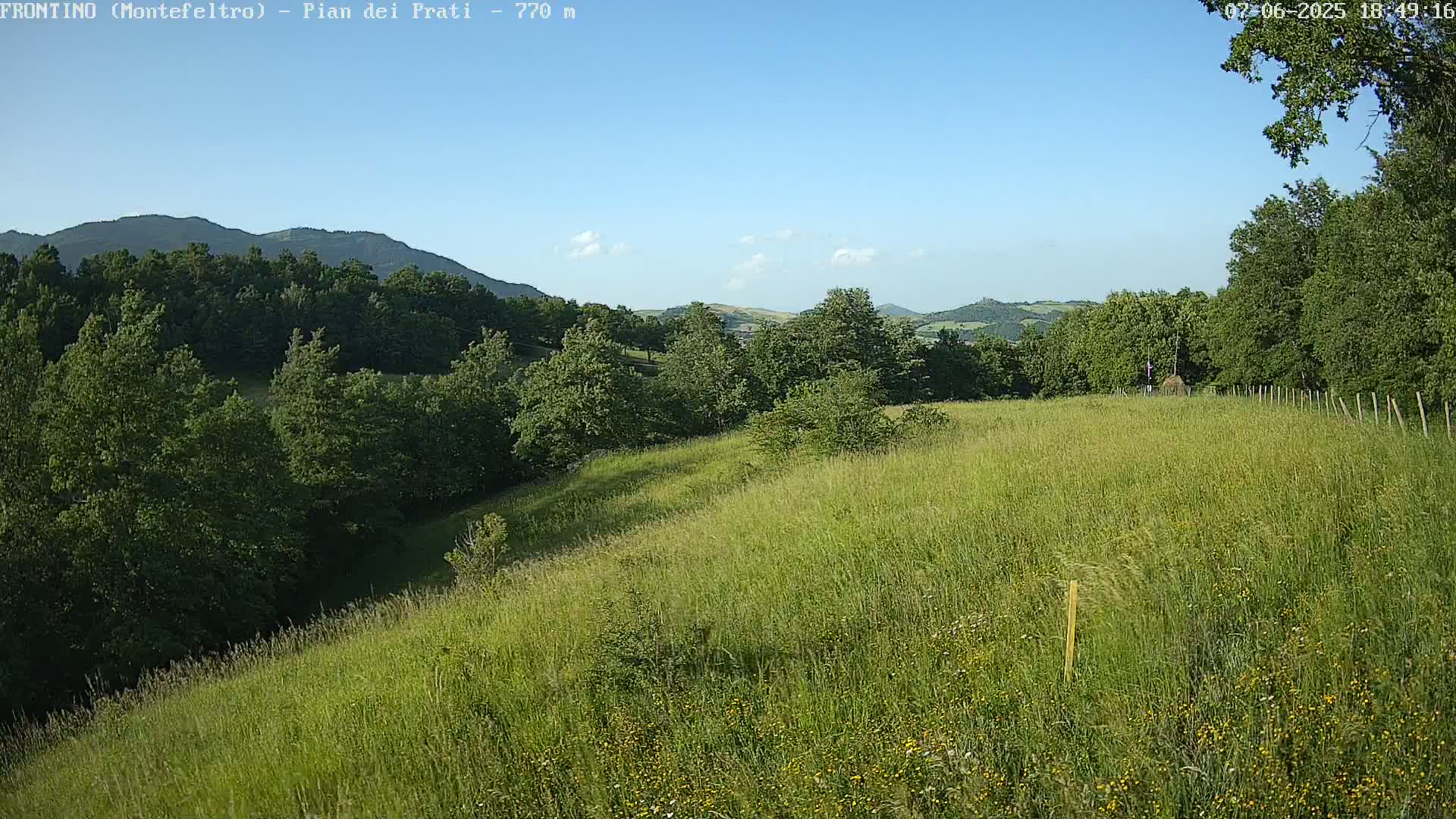 A long grassy field gently slopes downward toward a line of trees and hills under a clear blue sky.