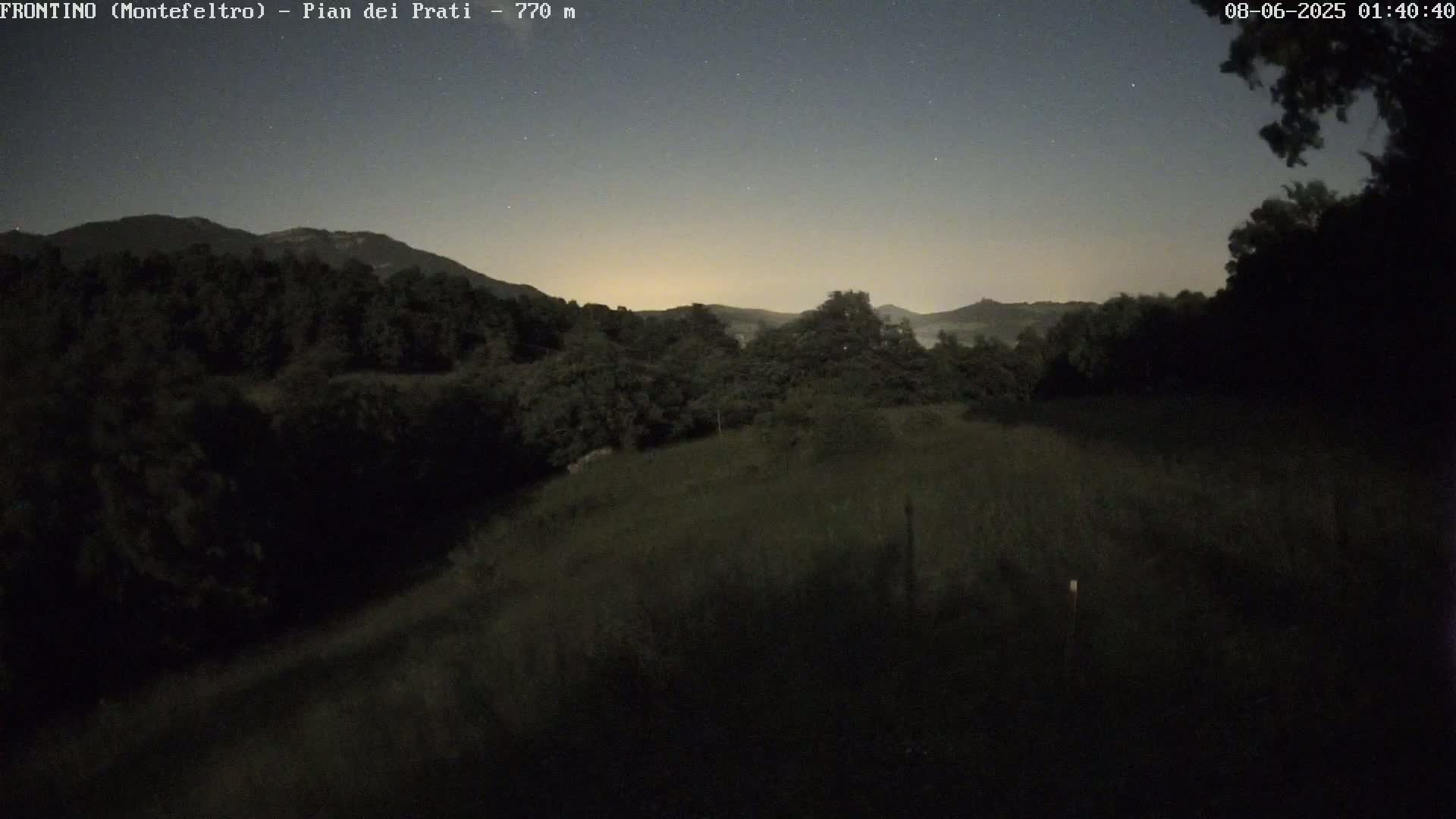 A nighttime view of a grassy field bordered by dark trees and a distant mountain range under a clear, starry sky.