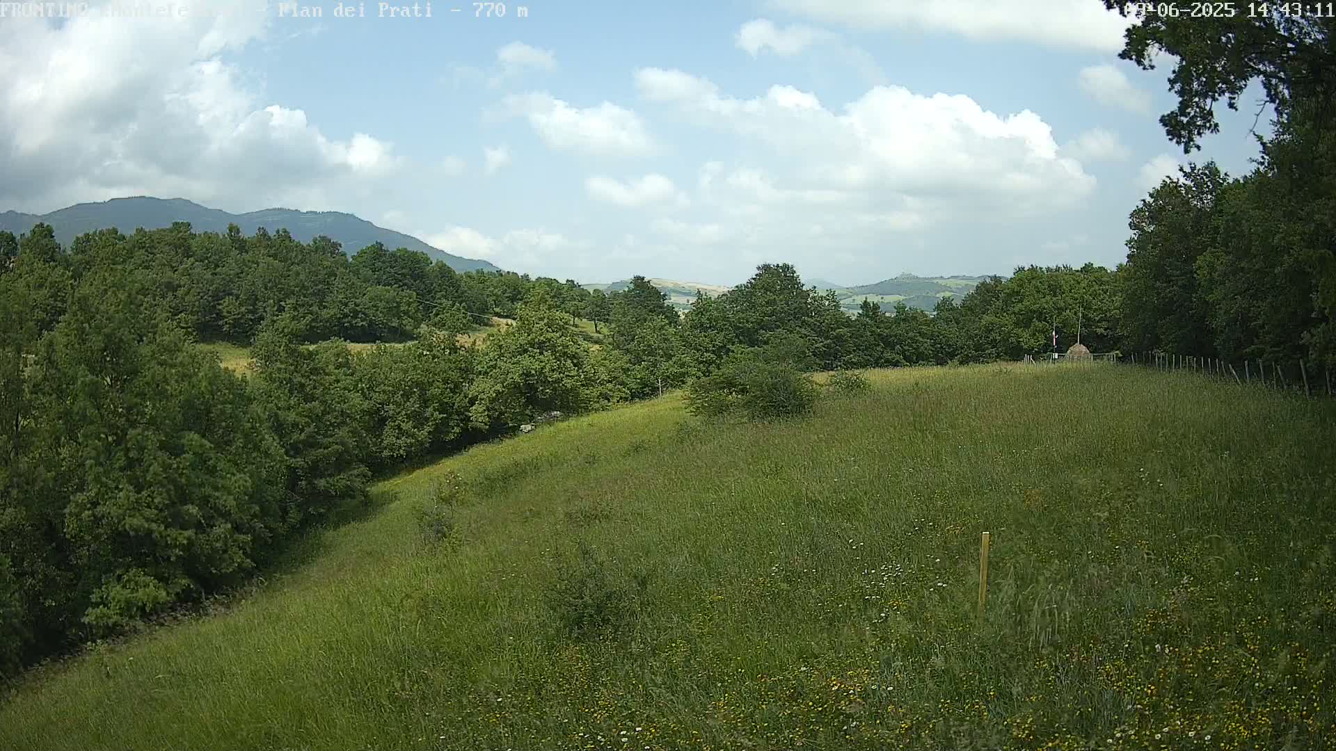 A grassy field slopes gently downward toward a line of trees and distant mountains under a partly cloudy sky.