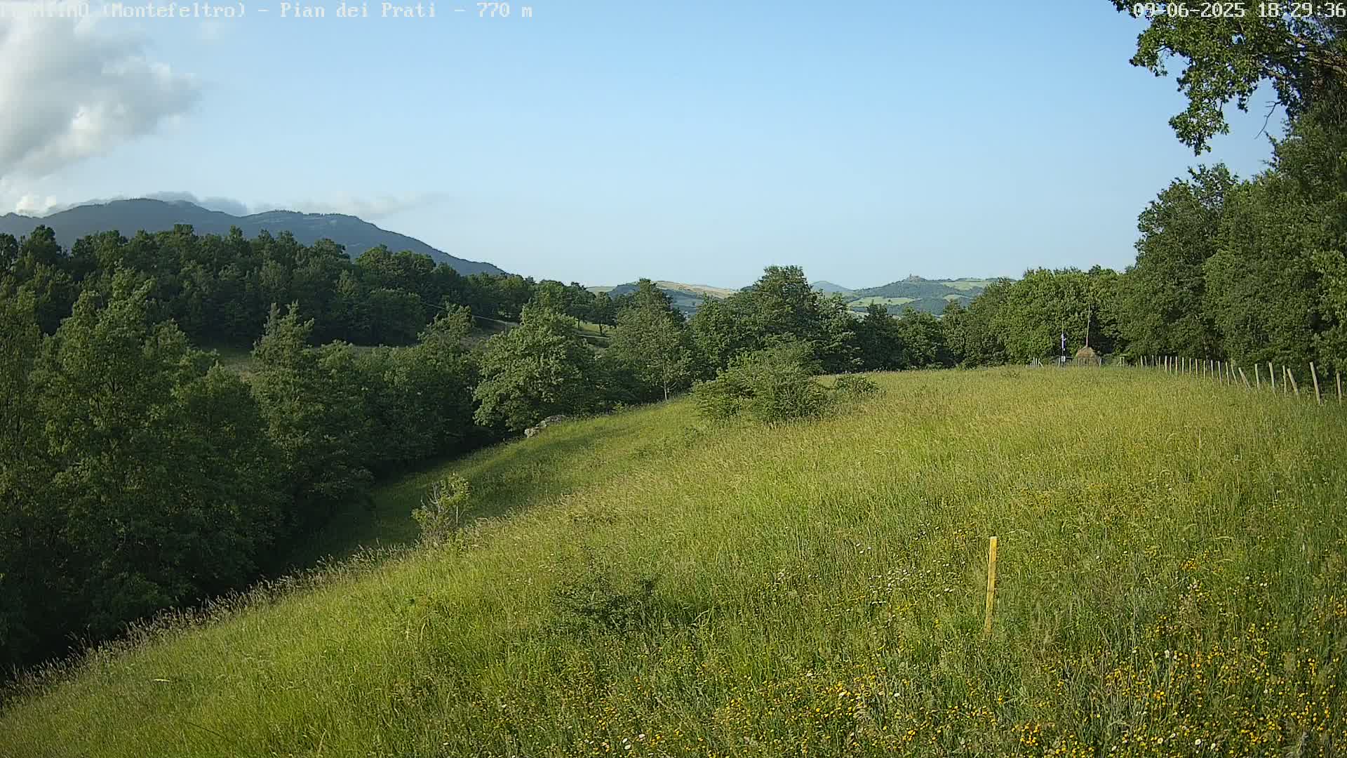 A grassy hillside dotted with wildflowers slopes gently down toward a line of trees under a clear blue sky.
