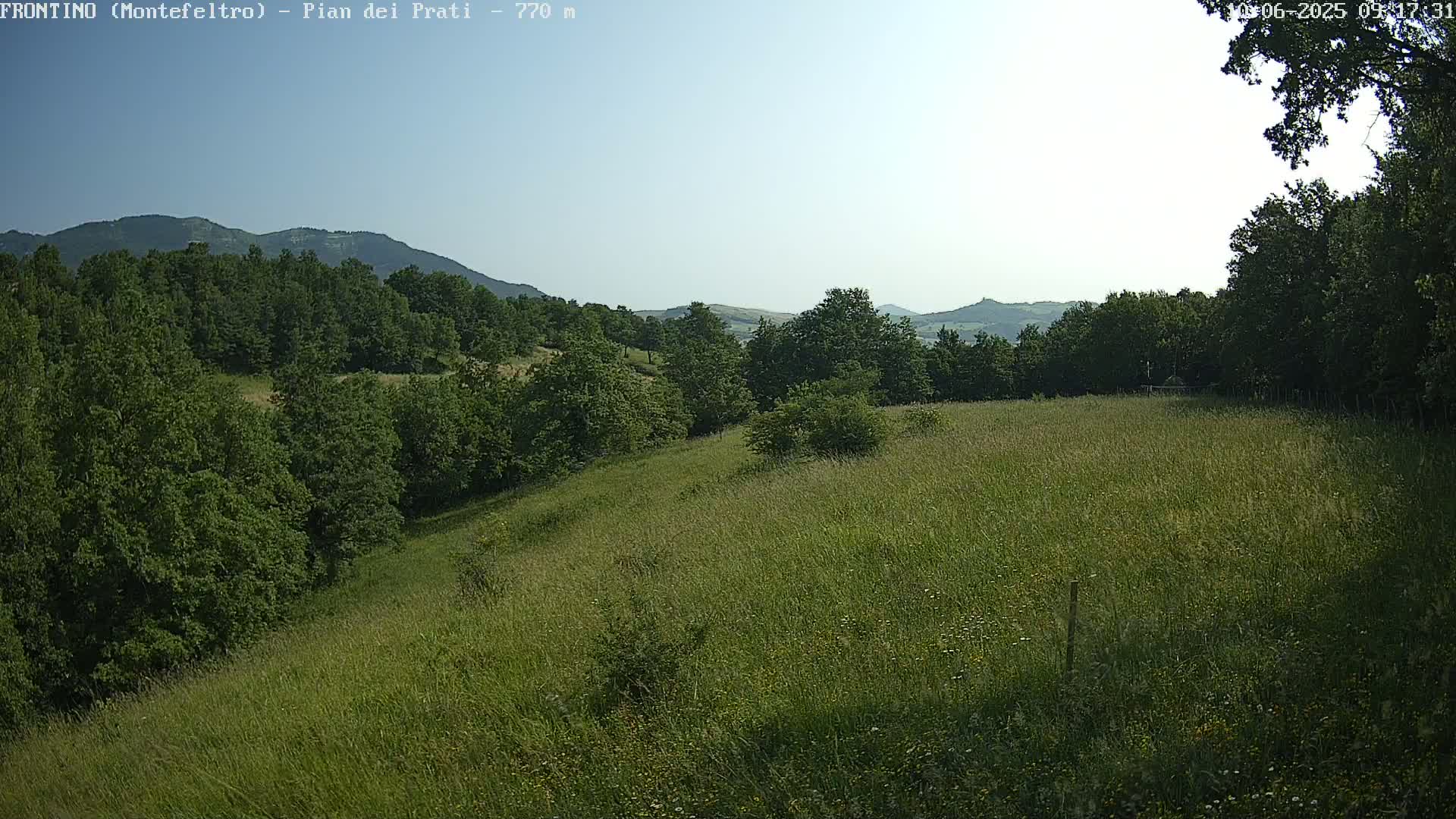 A gently sloping grassy field stretches towards a line of trees and distant mountains under a clear, bright sky.