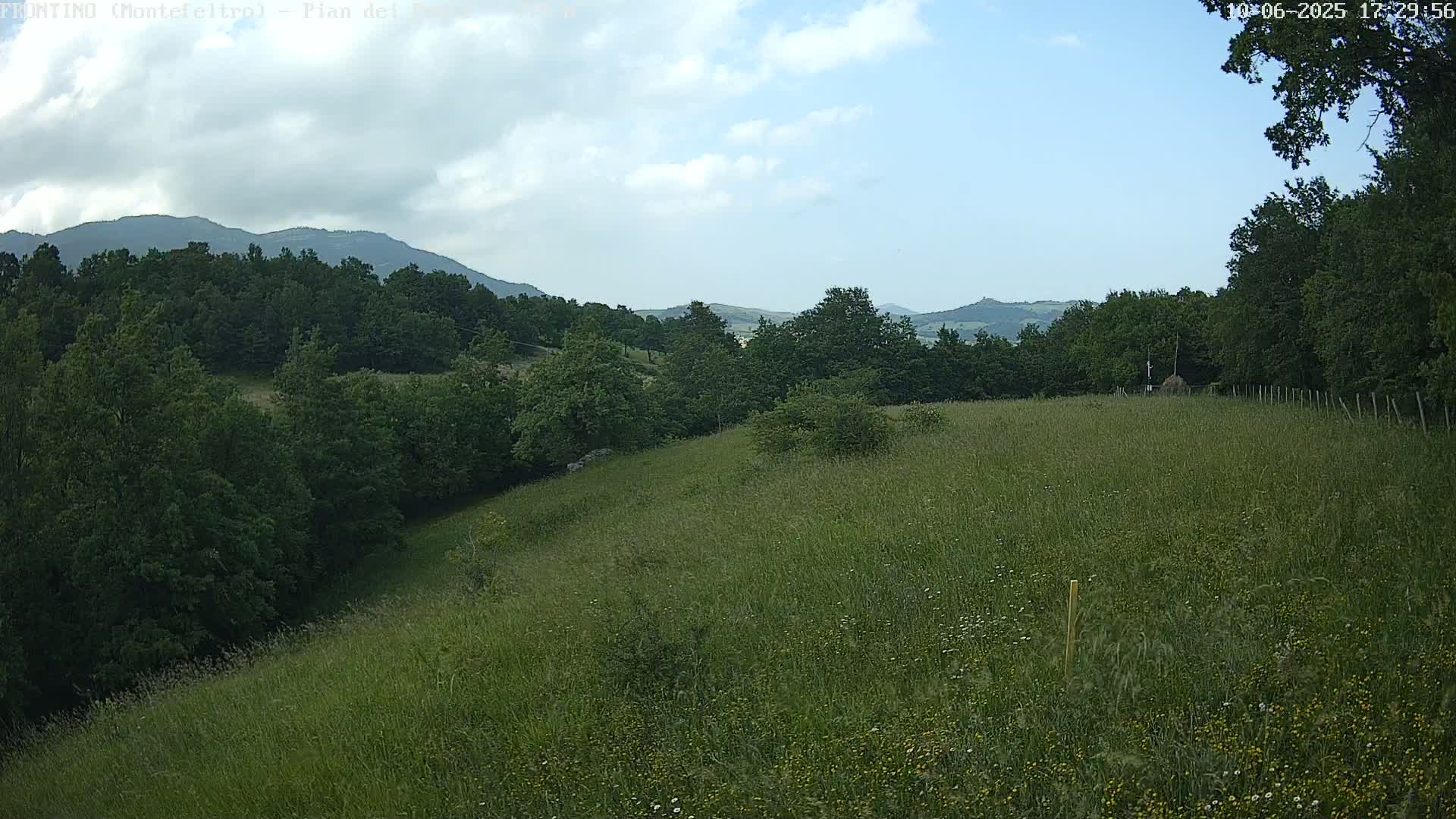 A verdant hillside meadow stretches toward a line of dark green trees and distant mountains under a partly cloudy sky.