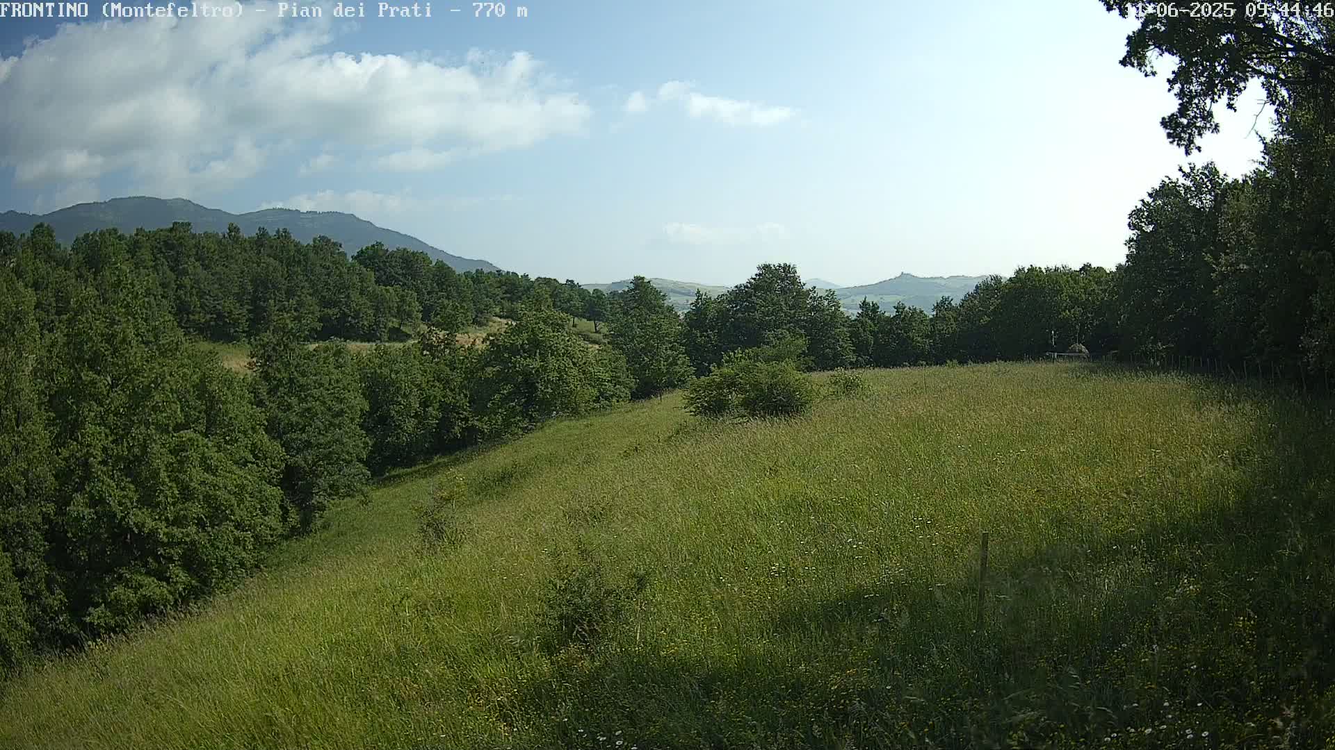 A grassy hillside dotted with green trees stretches toward distant mountains under a mostly sunny sky.