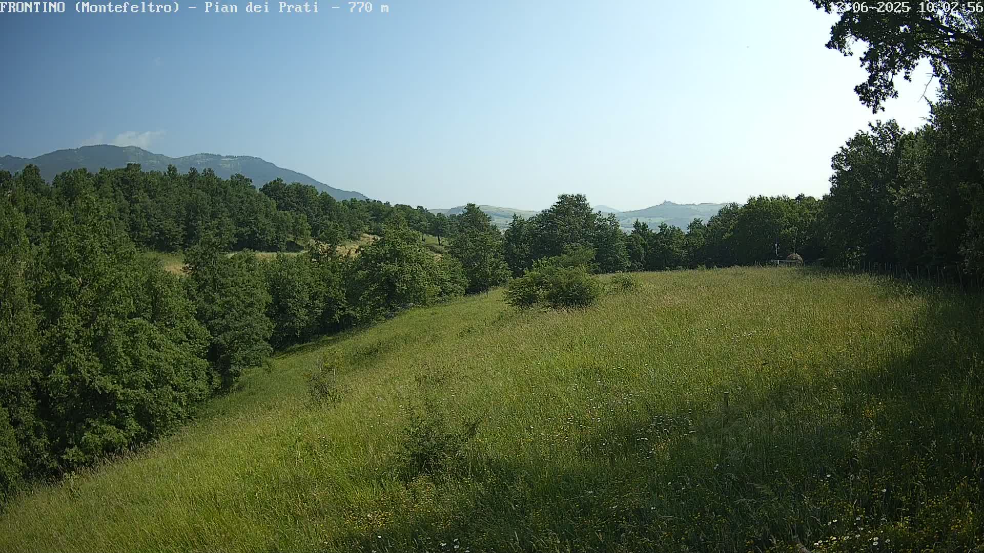 A grassy field slopes gently downward toward a forest, with mountains visible in the distance under a clear blue sky.