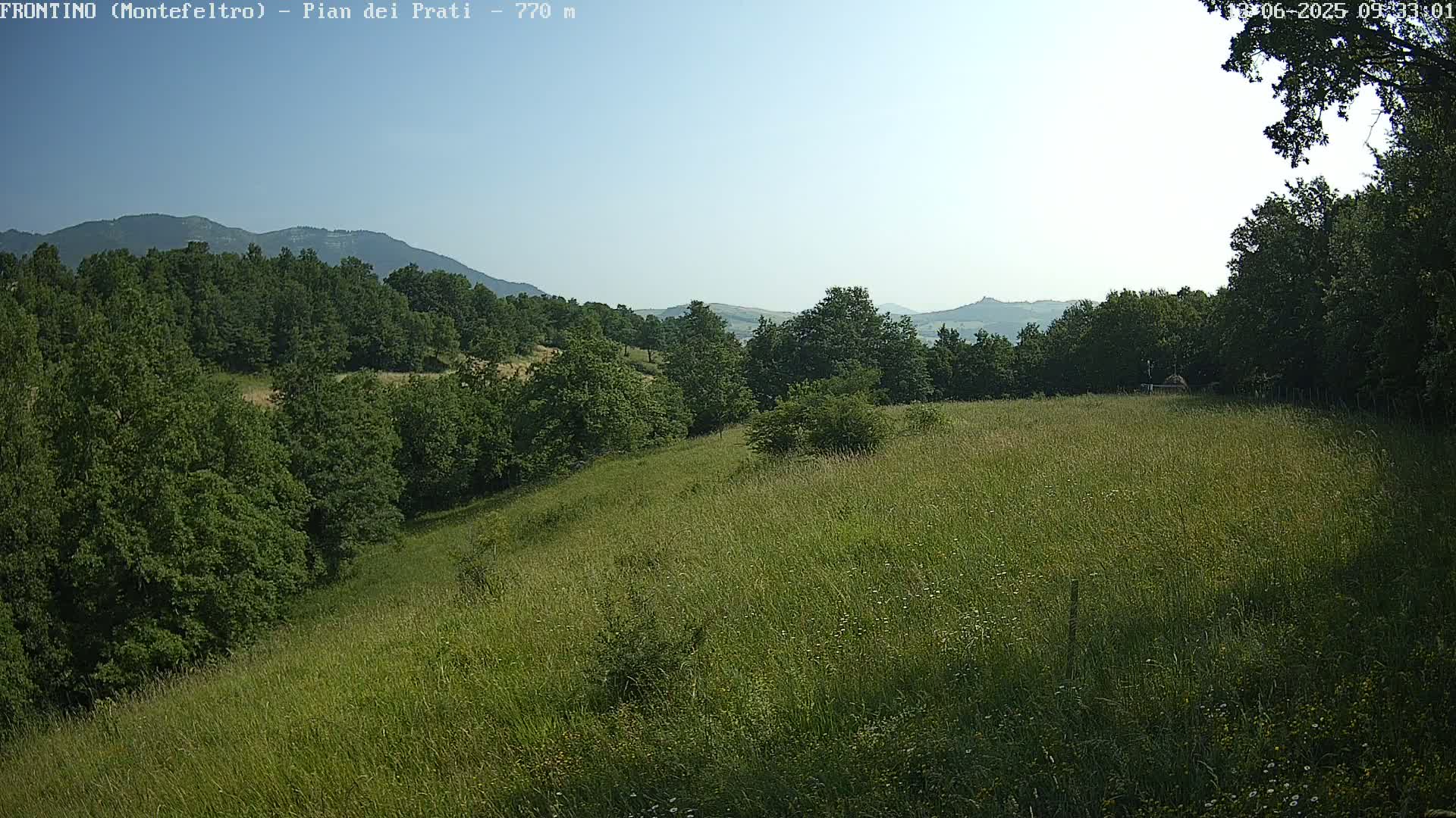 A grassy field slopes down towards a line of trees and mountains in the distance under a clear, bright sky.
