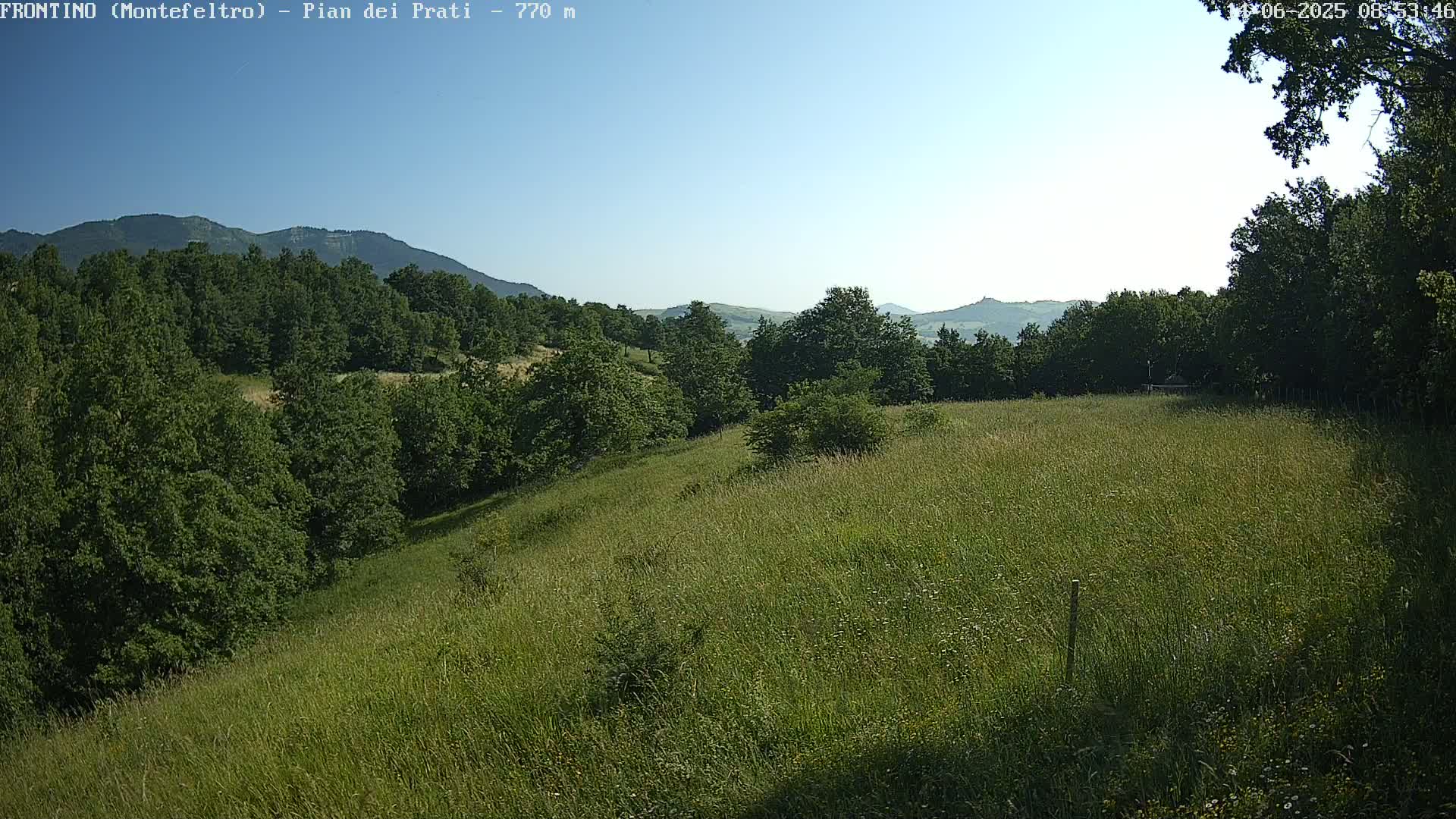 A sloping field of tall grass stretches toward a line of trees and distant mountains under a clear blue sky.