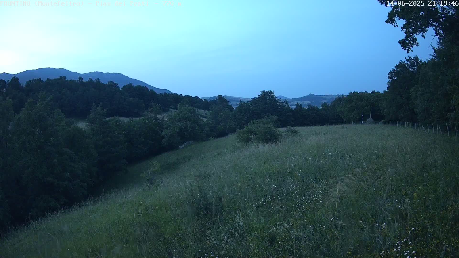 A sprawling grassy field dotted with wildflowers gently slopes downward toward a line of trees and distant mountains under a clear blue sky.
