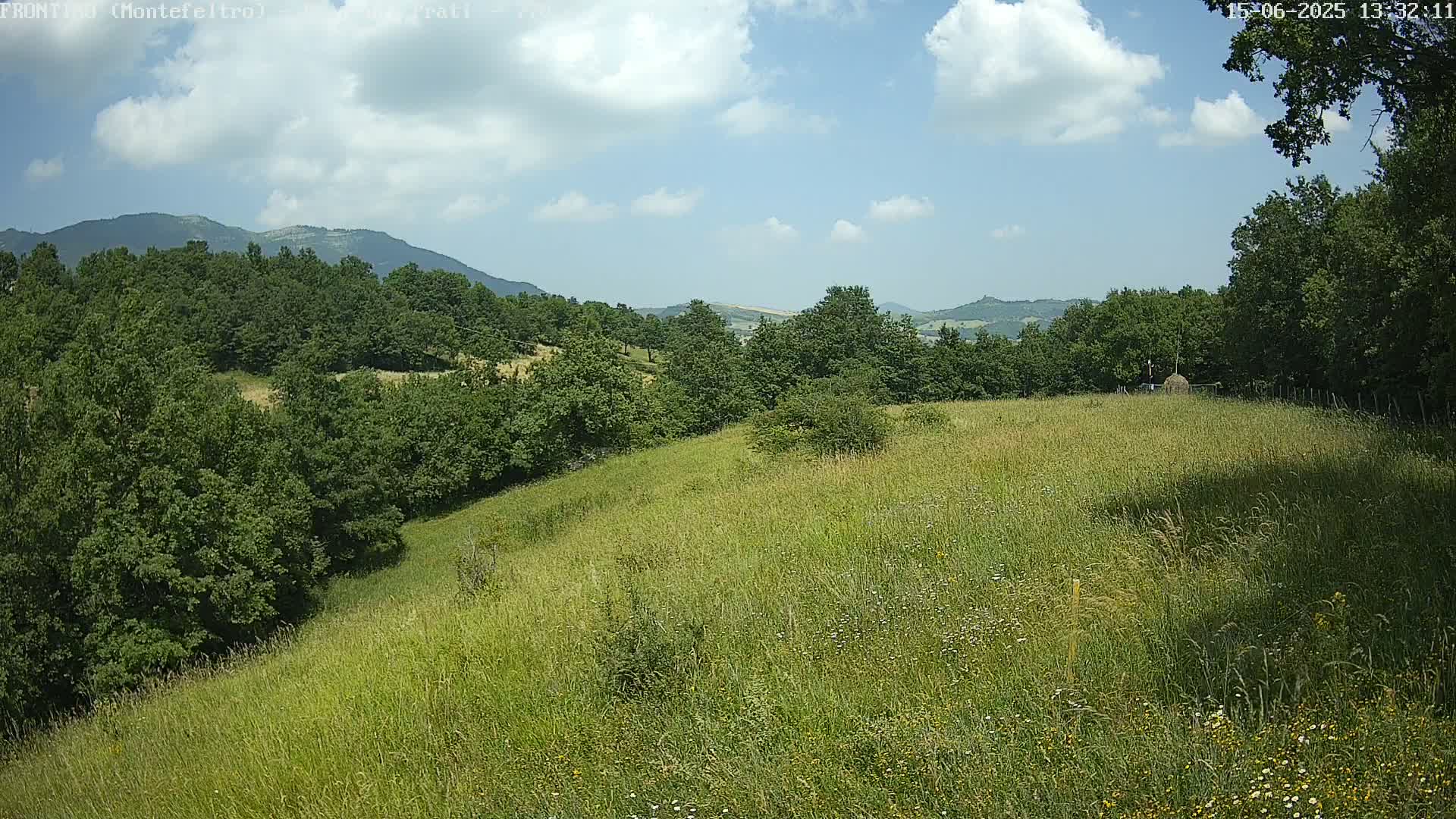 A grassy hillside dotted with wildflowers and trees overlooks a valley under a partly cloudy sky.