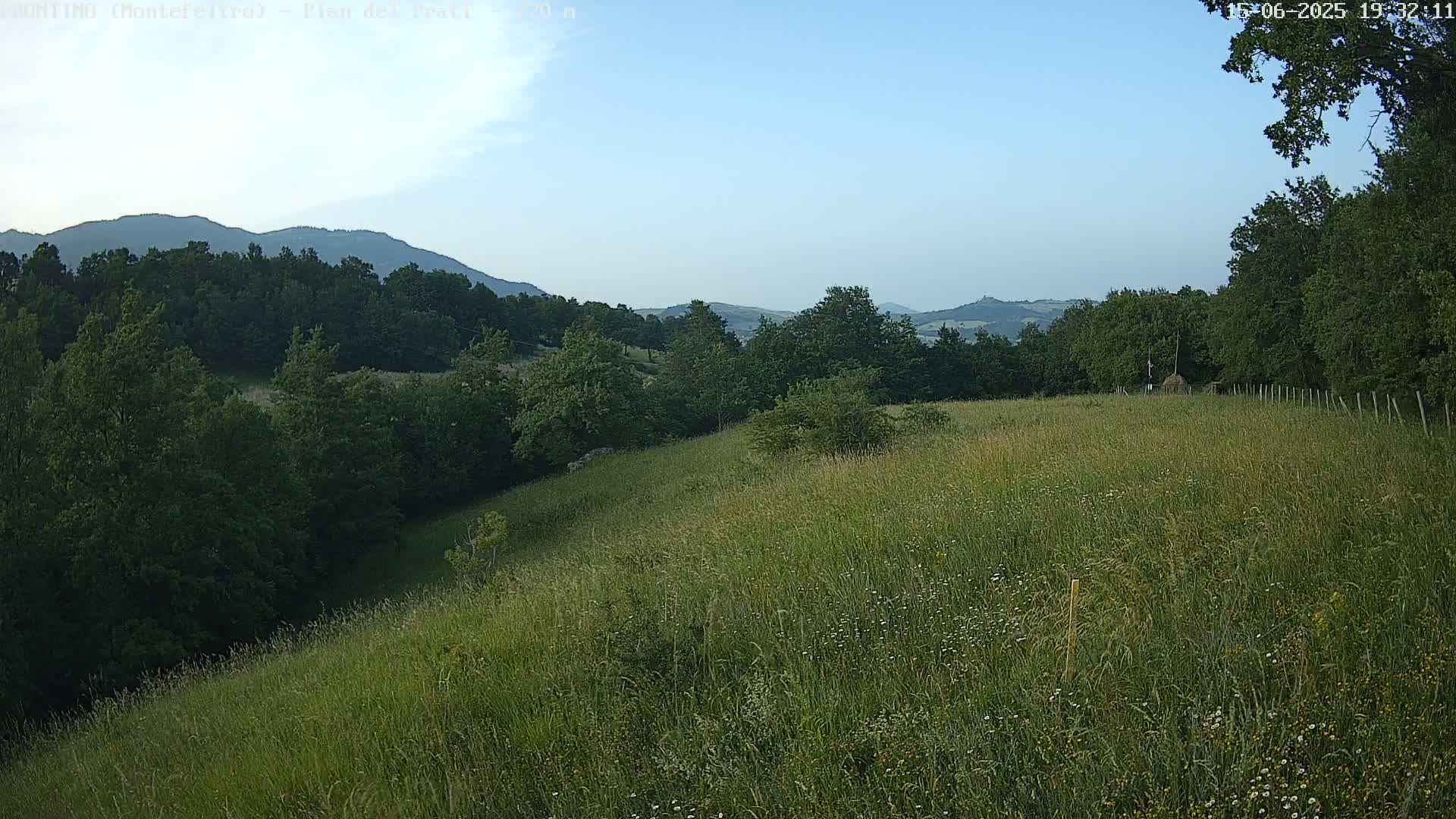 A grassy hillside dotted with wildflowers slopes down to a forest, with distant mountains visible under a mostly clear sky.
