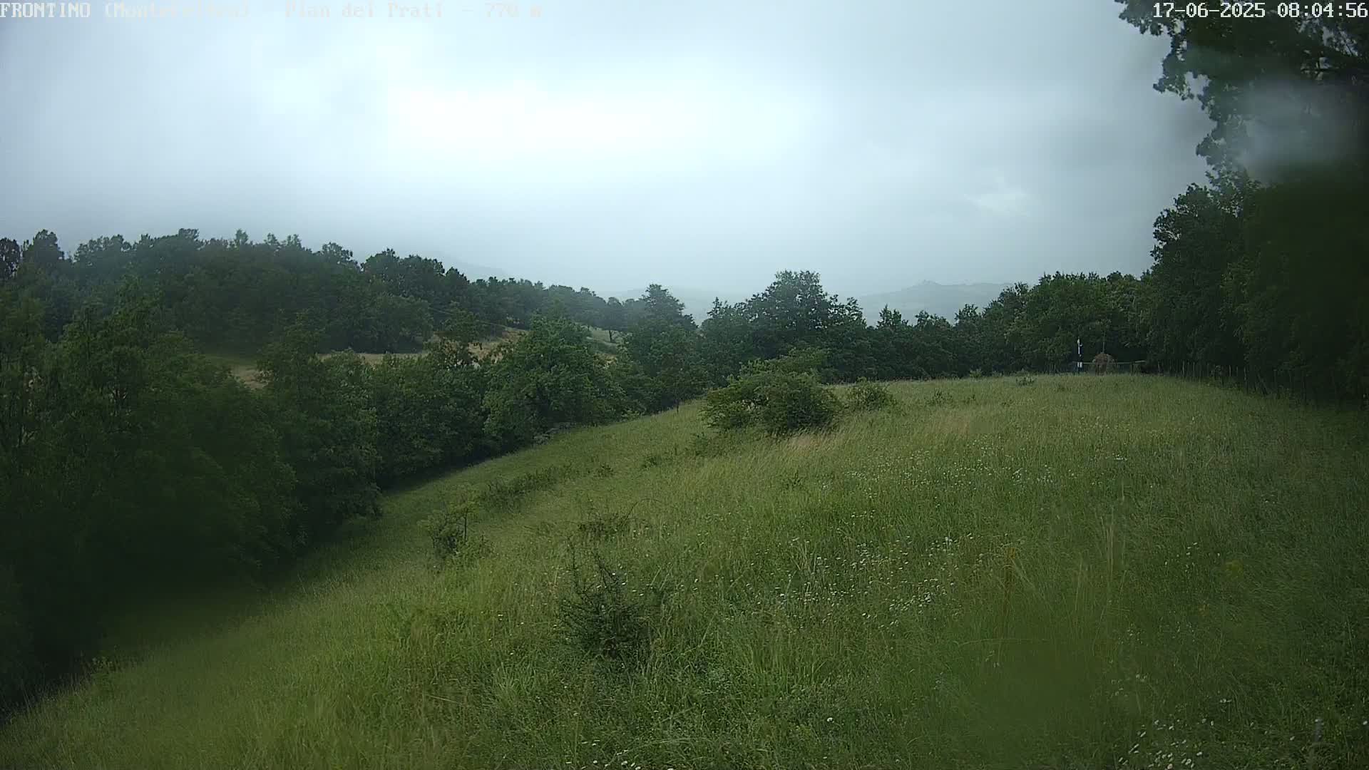 Pian dei Prati, Mount Carpegna Live Cam - Carpegna, Marche, Italy