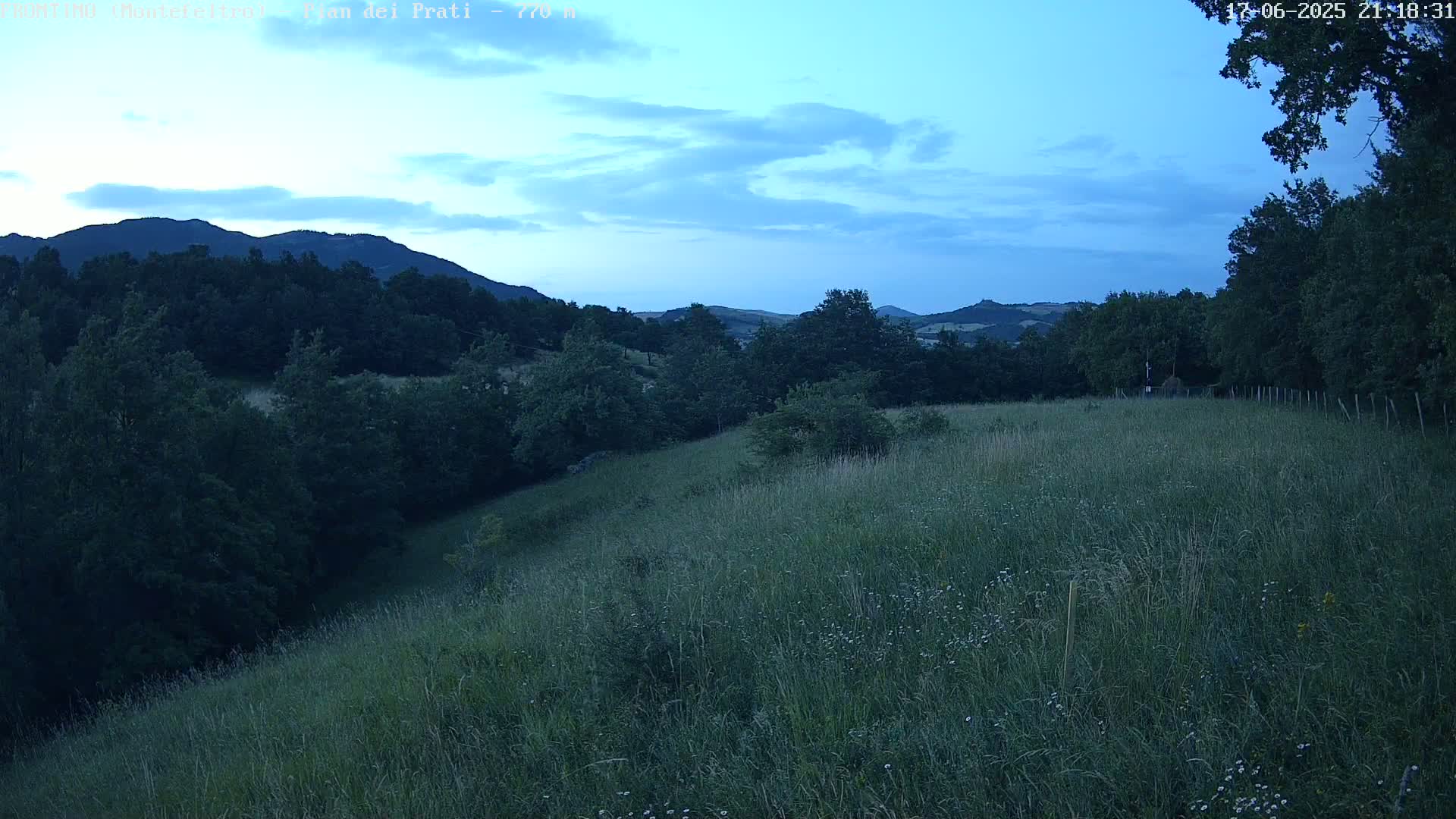 A grassy hillside slopes downward toward a dark forest under a twilight sky with a few clouds.