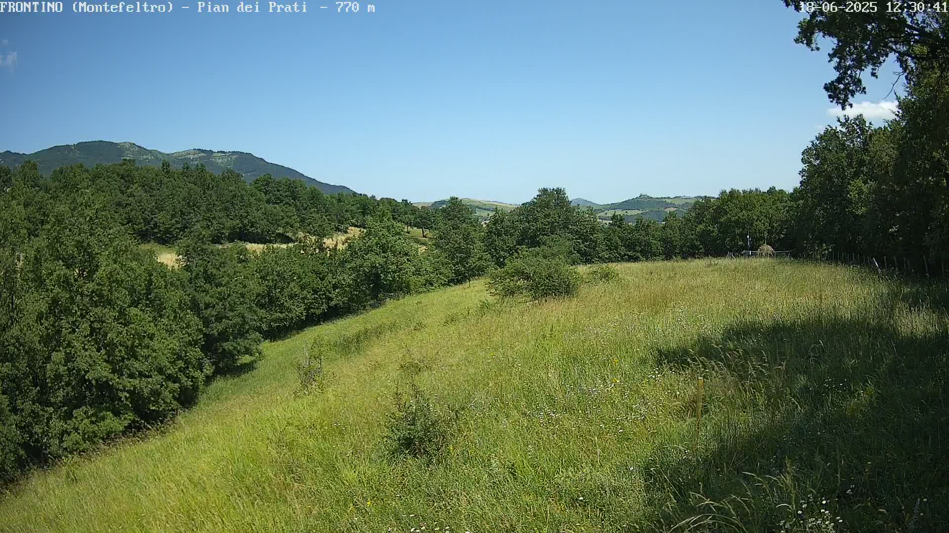 A grassy field slopes gently downward toward a line of trees and distant hills under a clear blue sky.