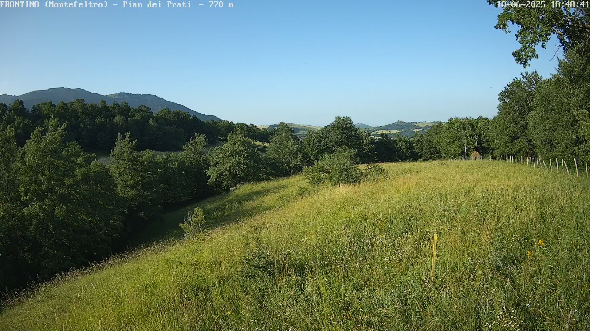 A grassy hillside slopes down toward a forest, with distant mountains visible under a clear blue sky.