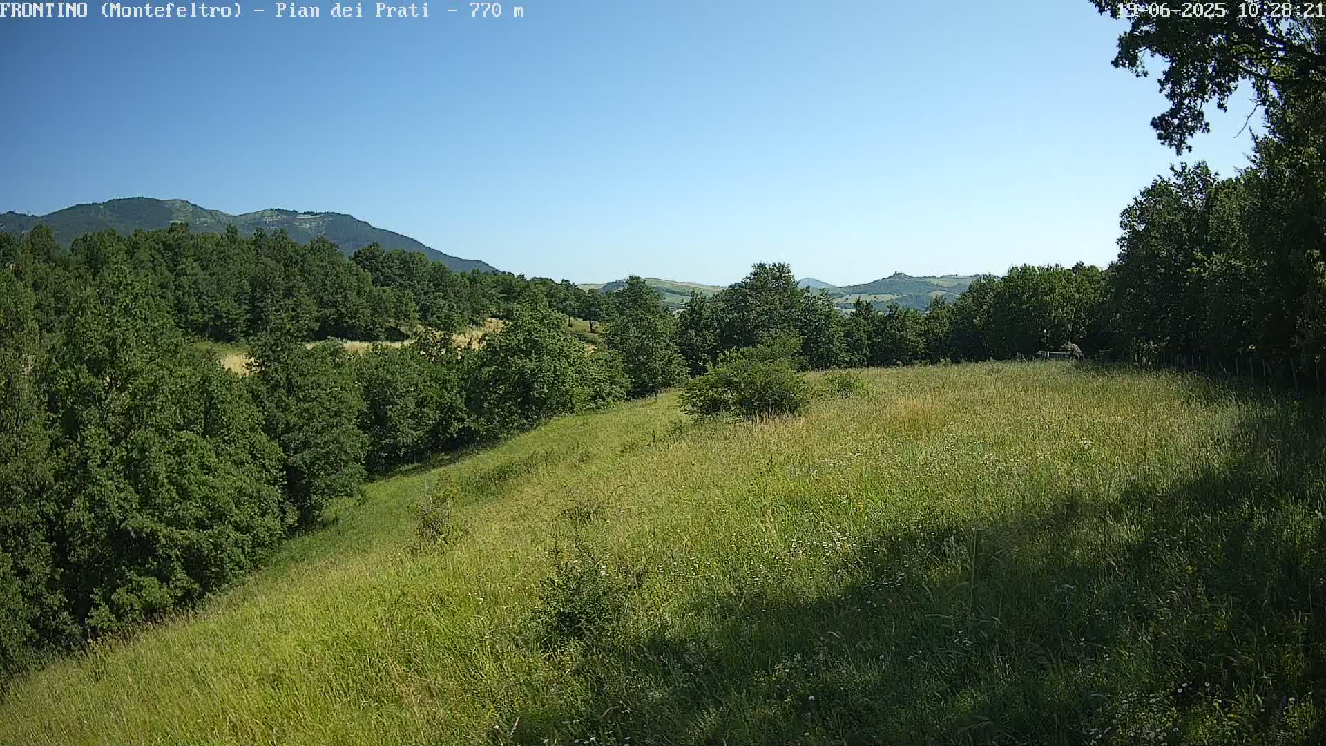 A grassy hillside with green trees and distant mountains under a clear blue sky.