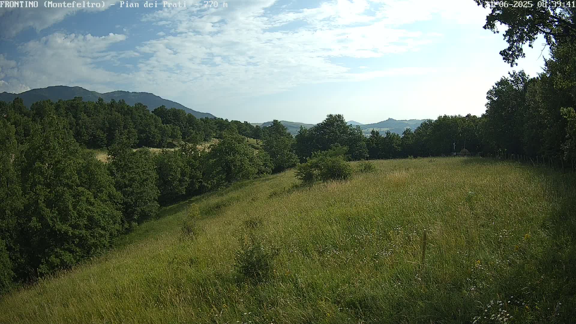 A grassy hillside with trees and distant mountains under a partly cloudy sky.