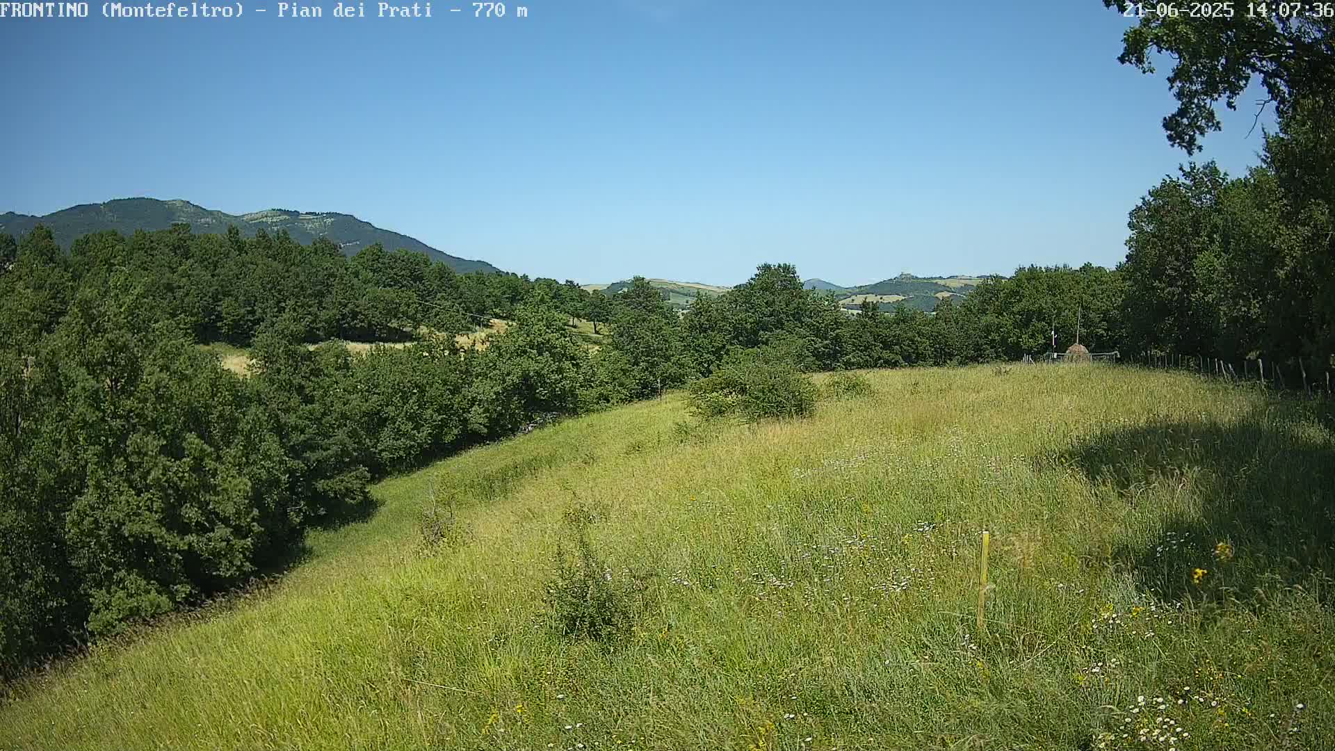 A grassy field slopes gently downward toward a line of green trees and distant mountains under a clear blue sky.