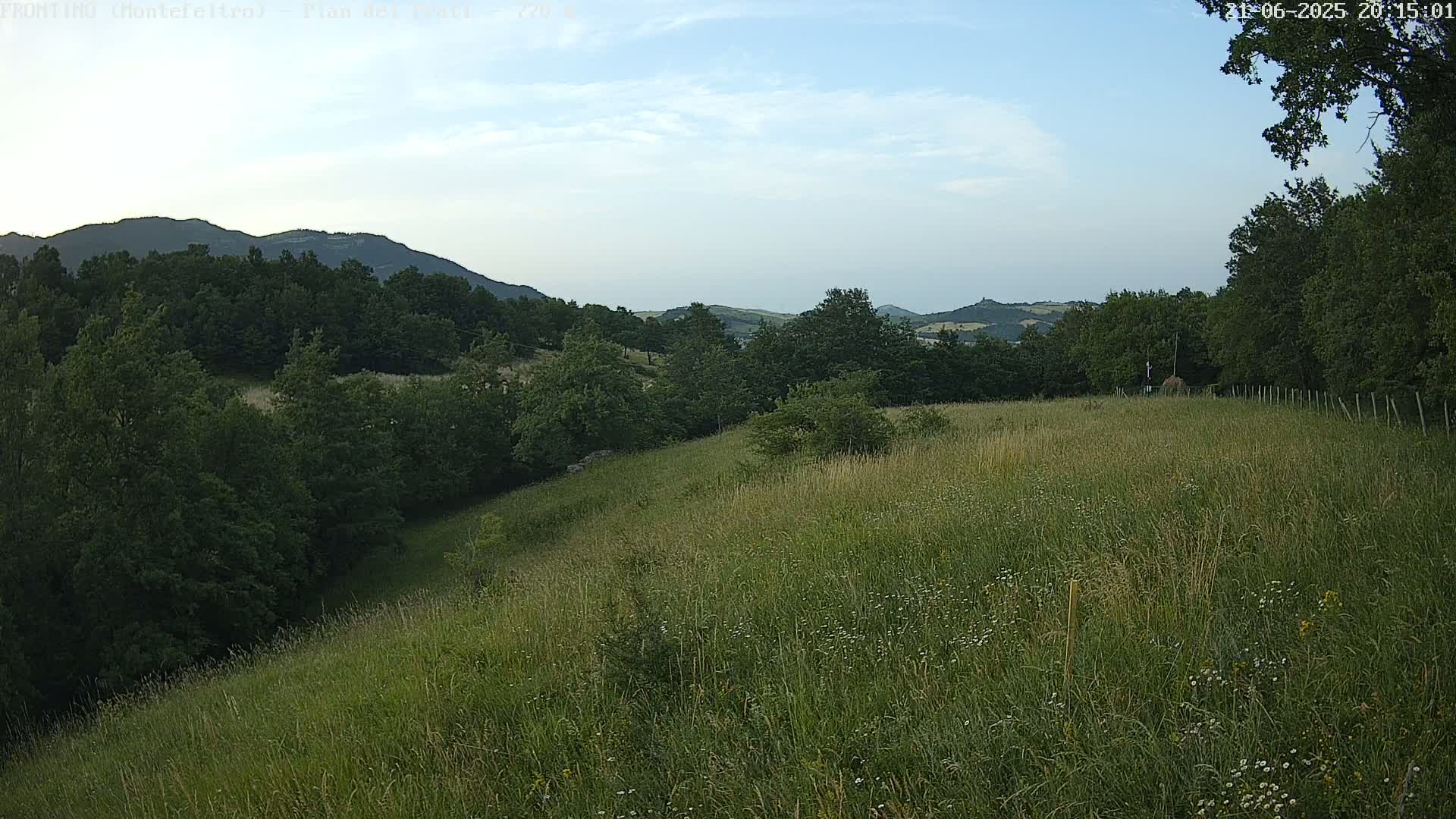 A grassy hillside slopes down to a wooded area, under a mostly clear sky.