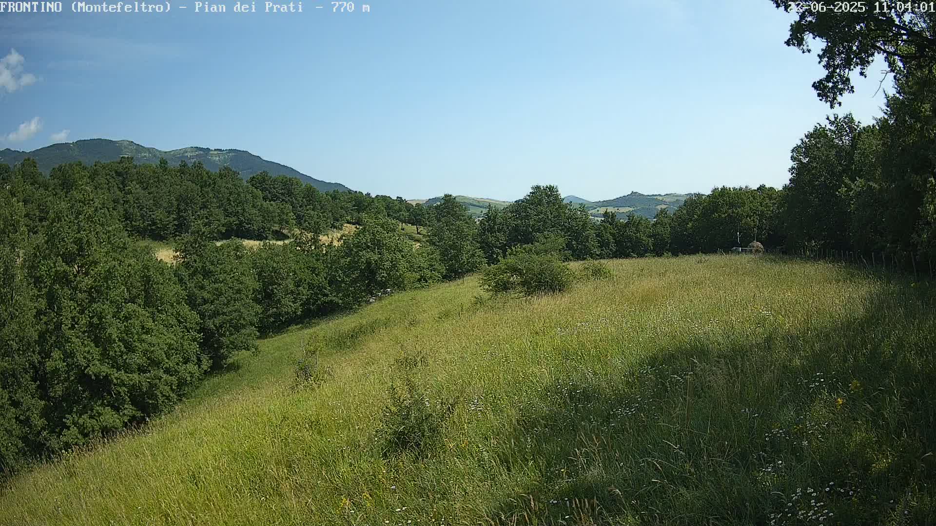 A grassy field slopes gently downward toward a line of green trees and distant mountains under a clear blue sky.